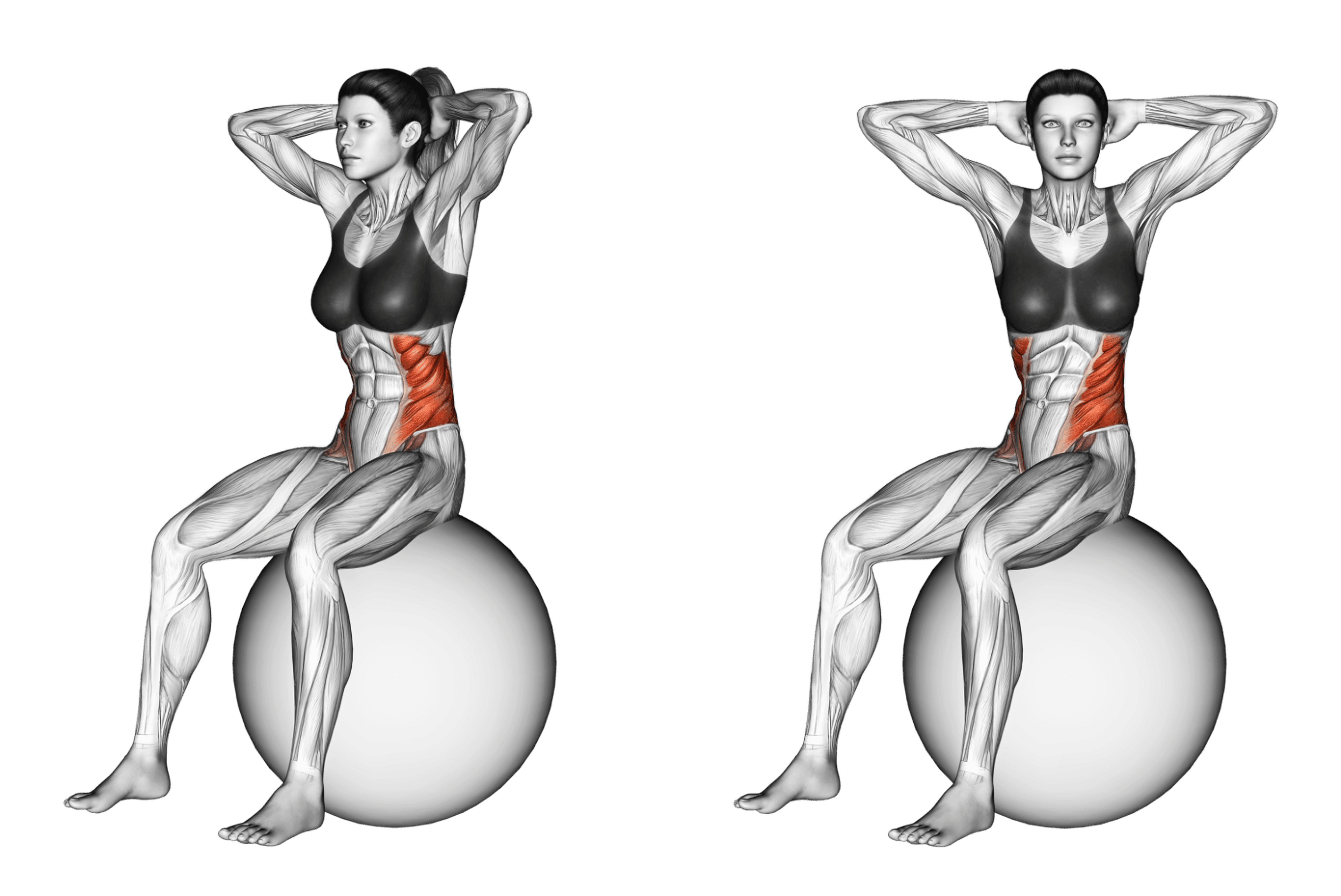 Exercise Ball Seated Twist