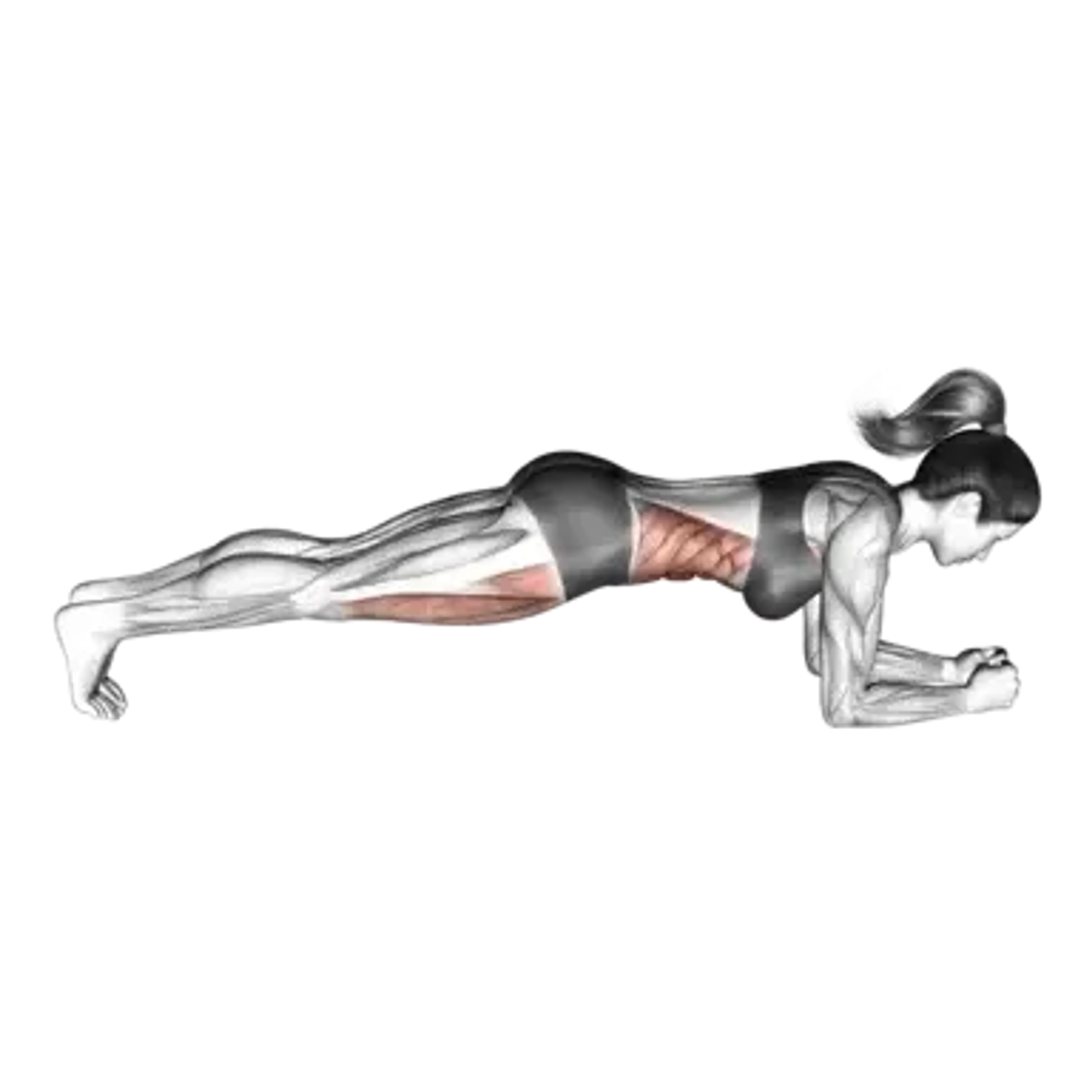 Plank