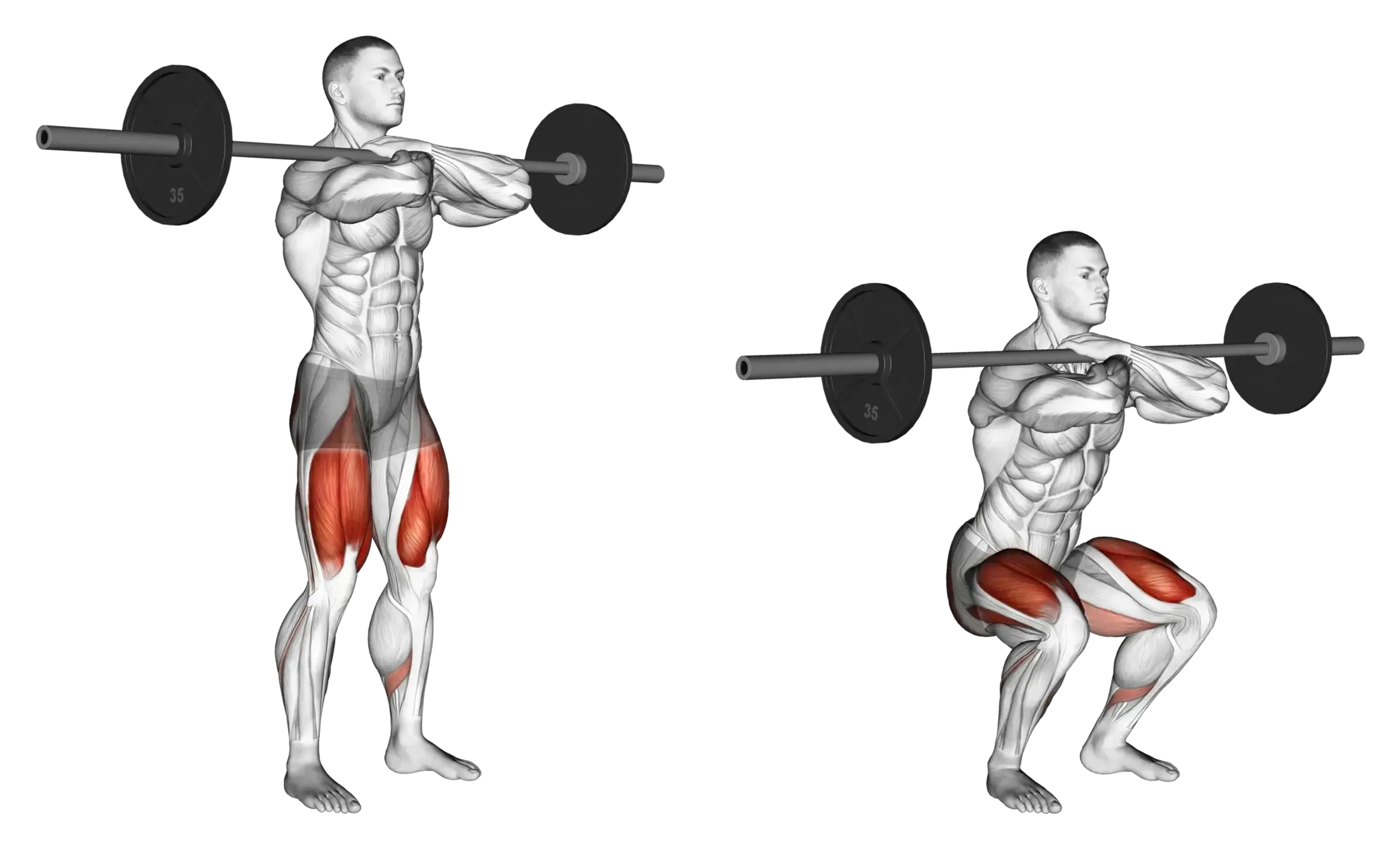 Barbell Front Squat