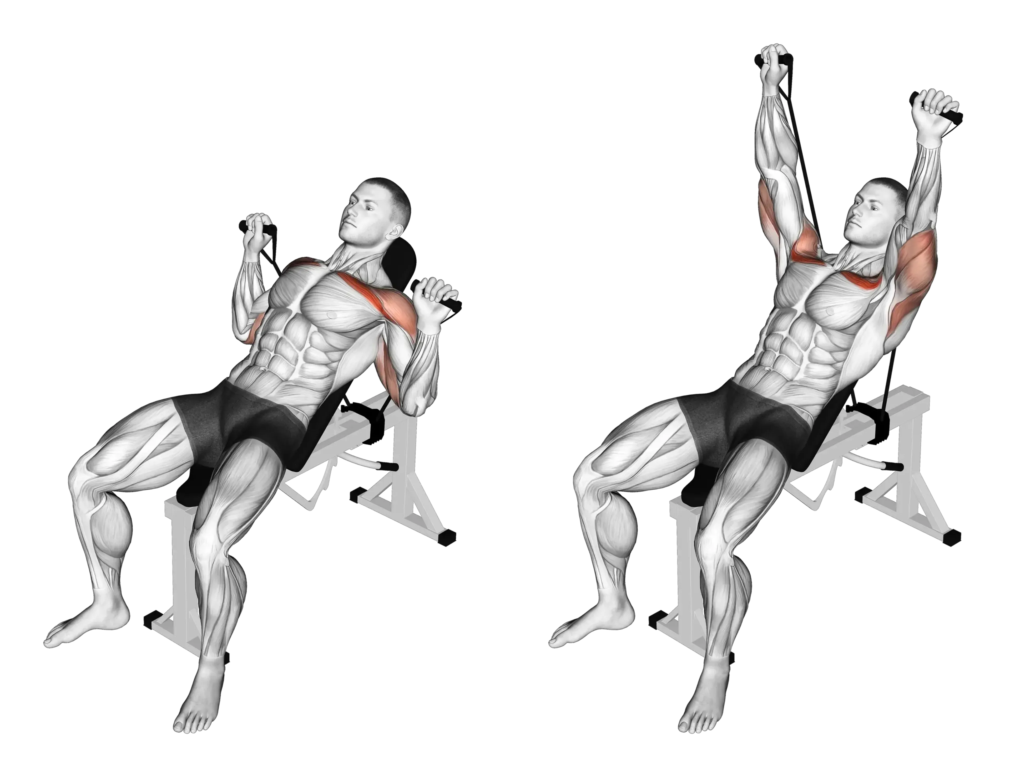 Band Incline Bench Press