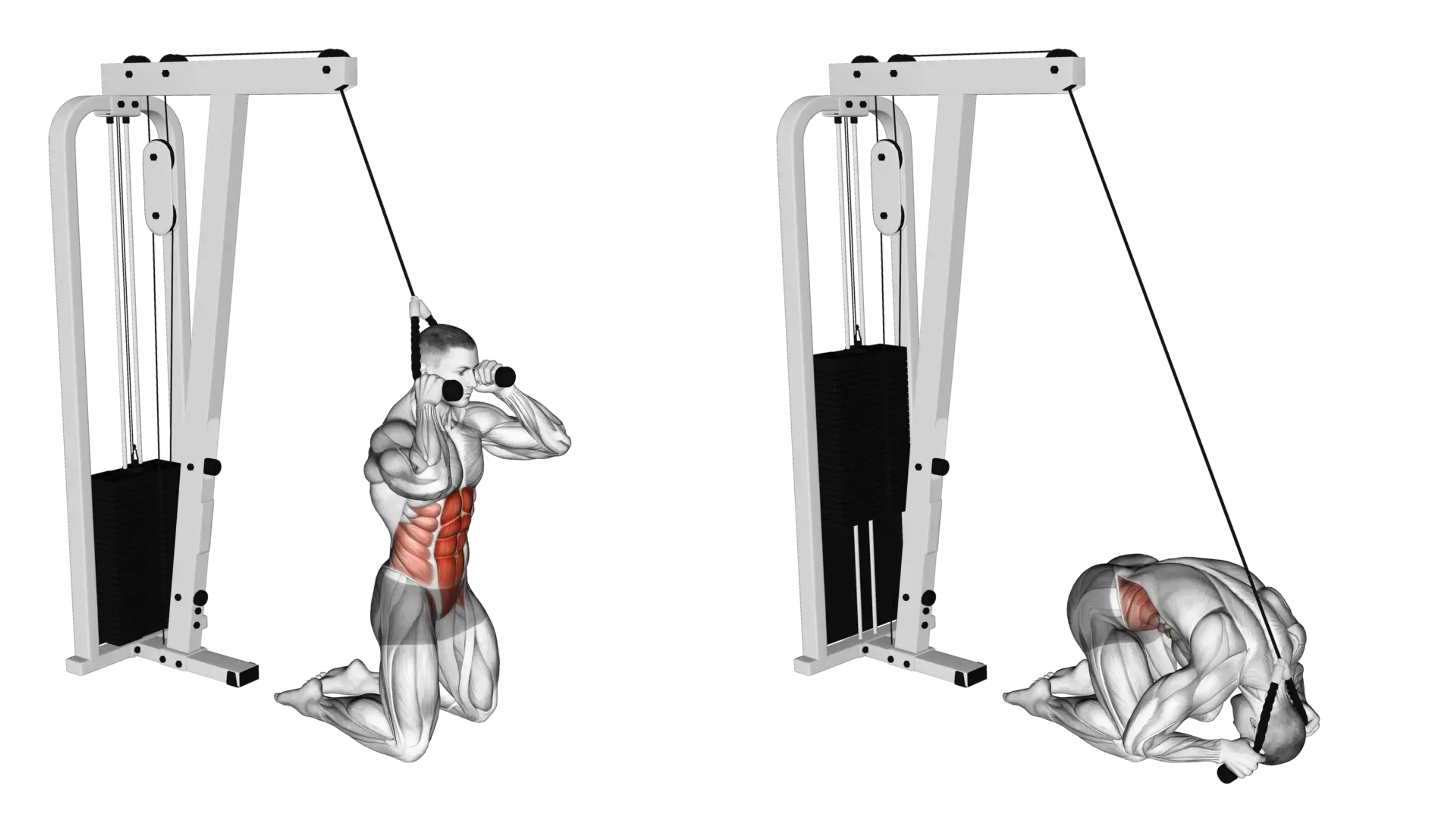 Cable Kneeling Crunch