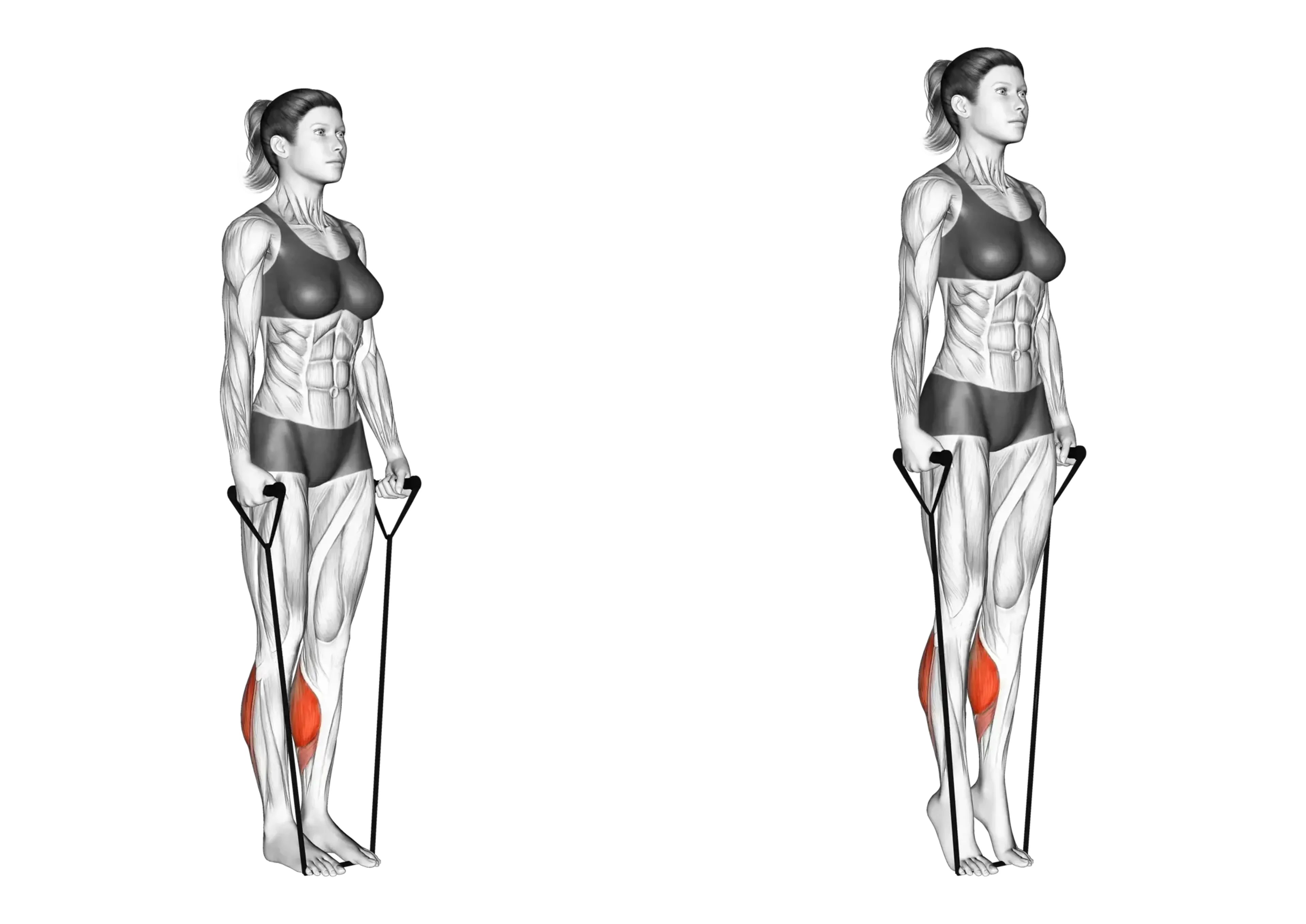 Band Calf Raise