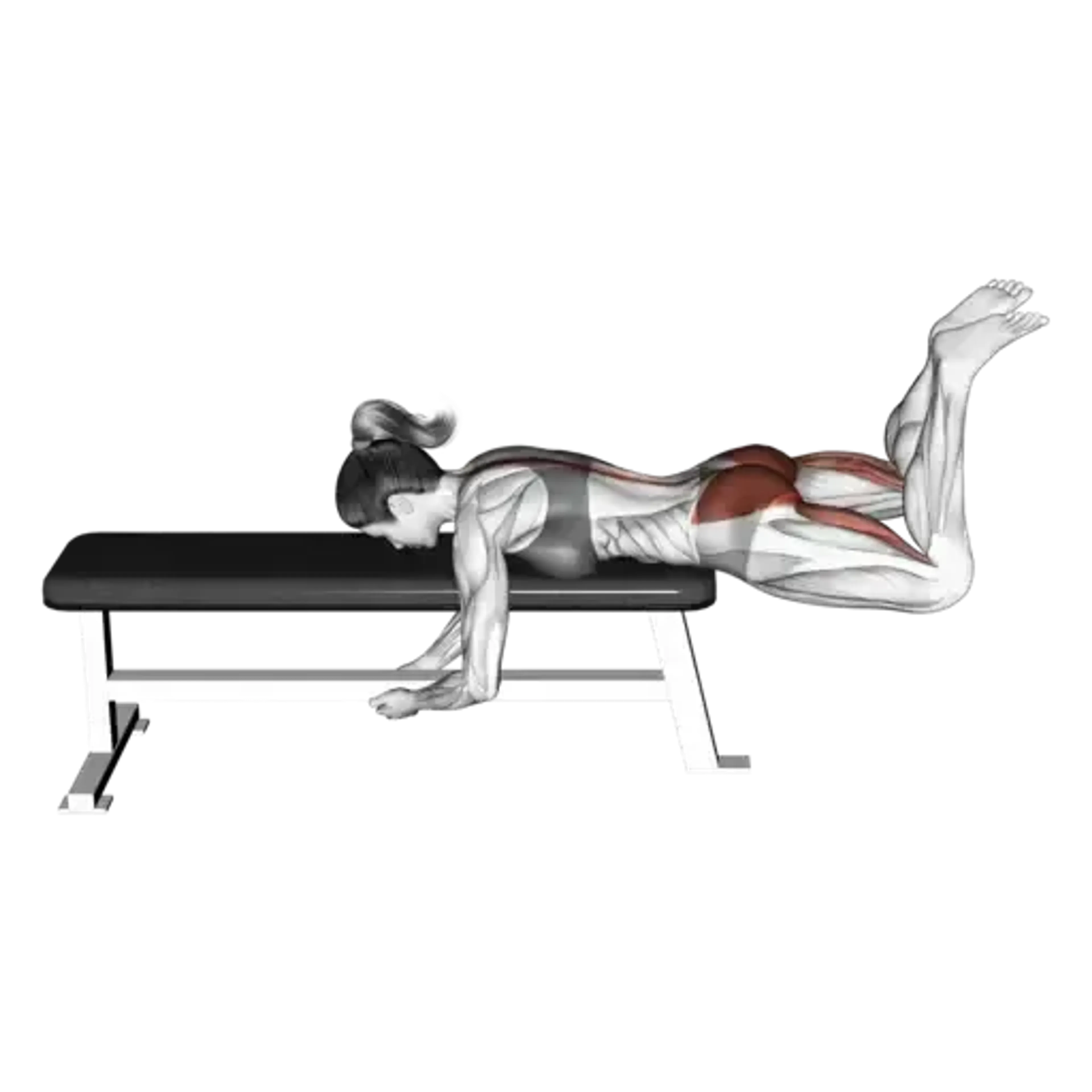 Frog Reverse Hyperextension