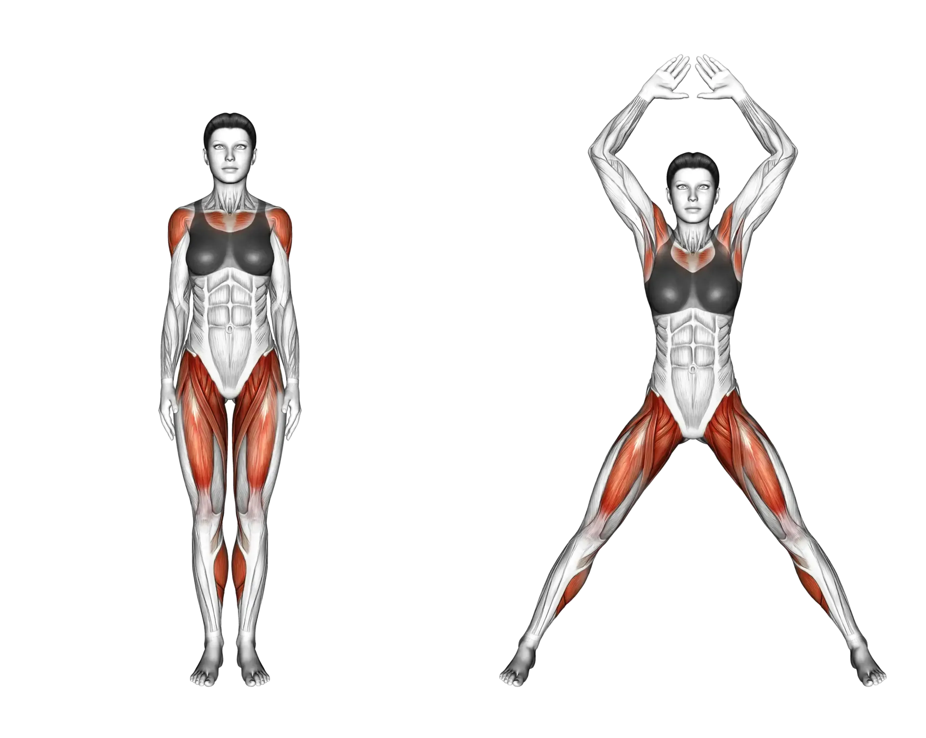 Jumping Jack Guide Muscles Worked Tips Athlemove Jumping Jack Guide Muscles Worked Tips Athlemove