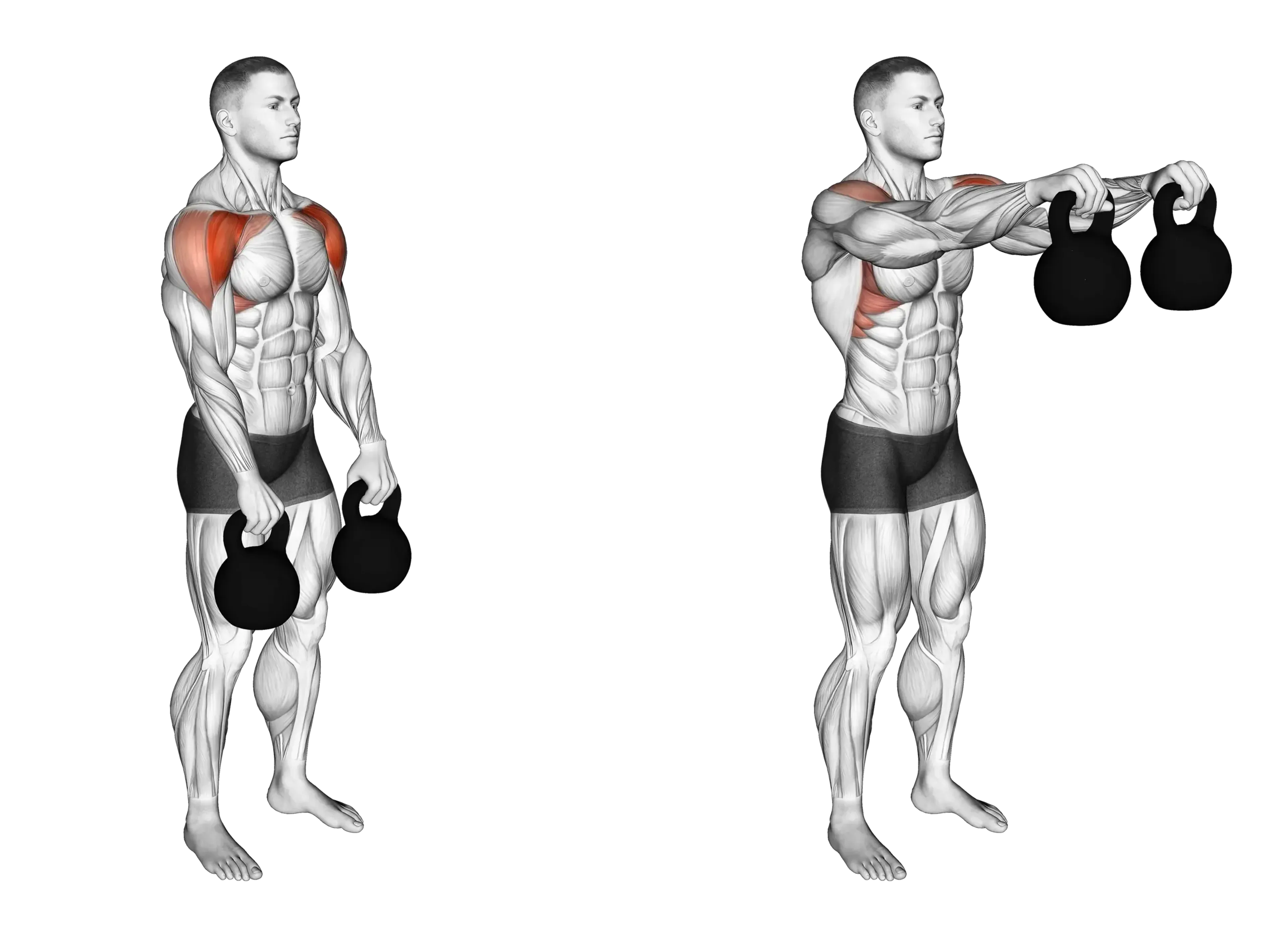 Kettlebell Front Raise