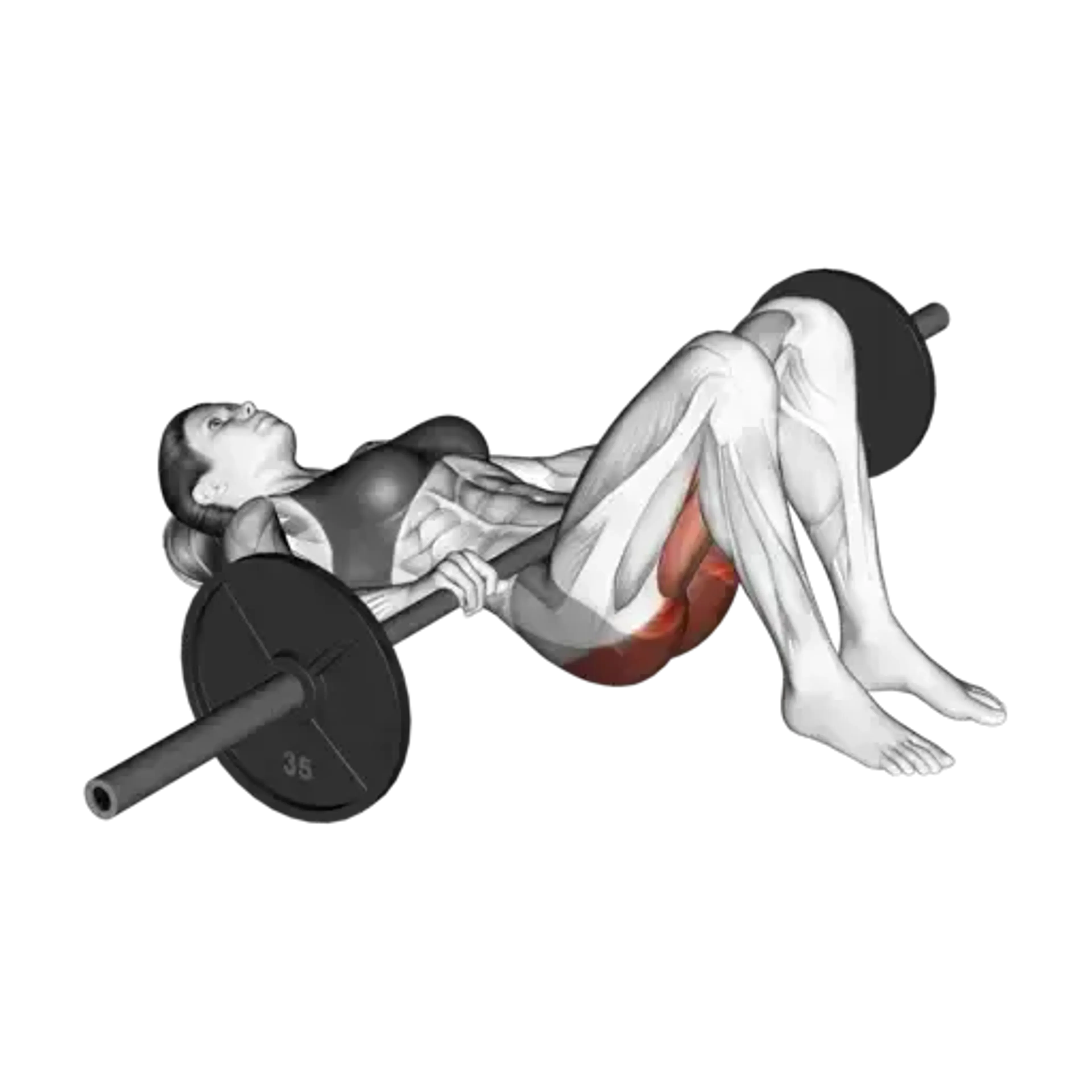 Barbell Glute Bridge