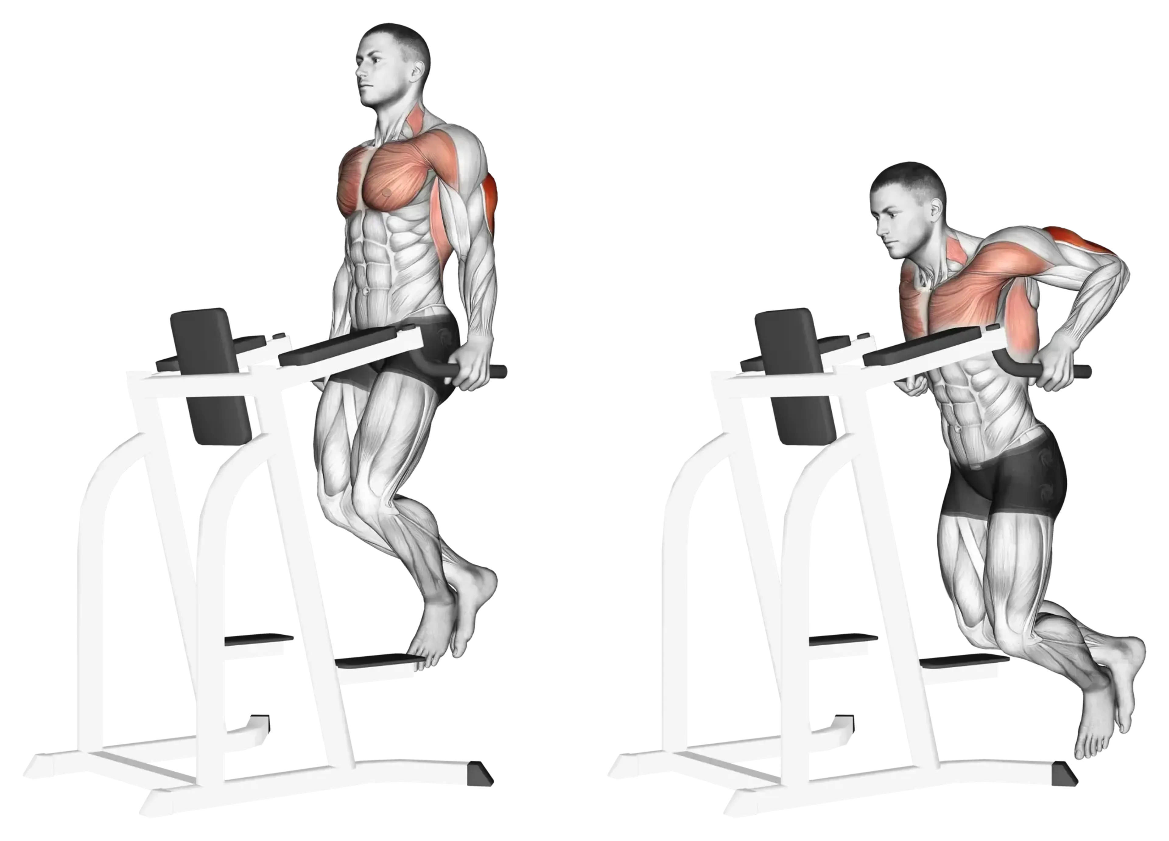 Triceps Dip