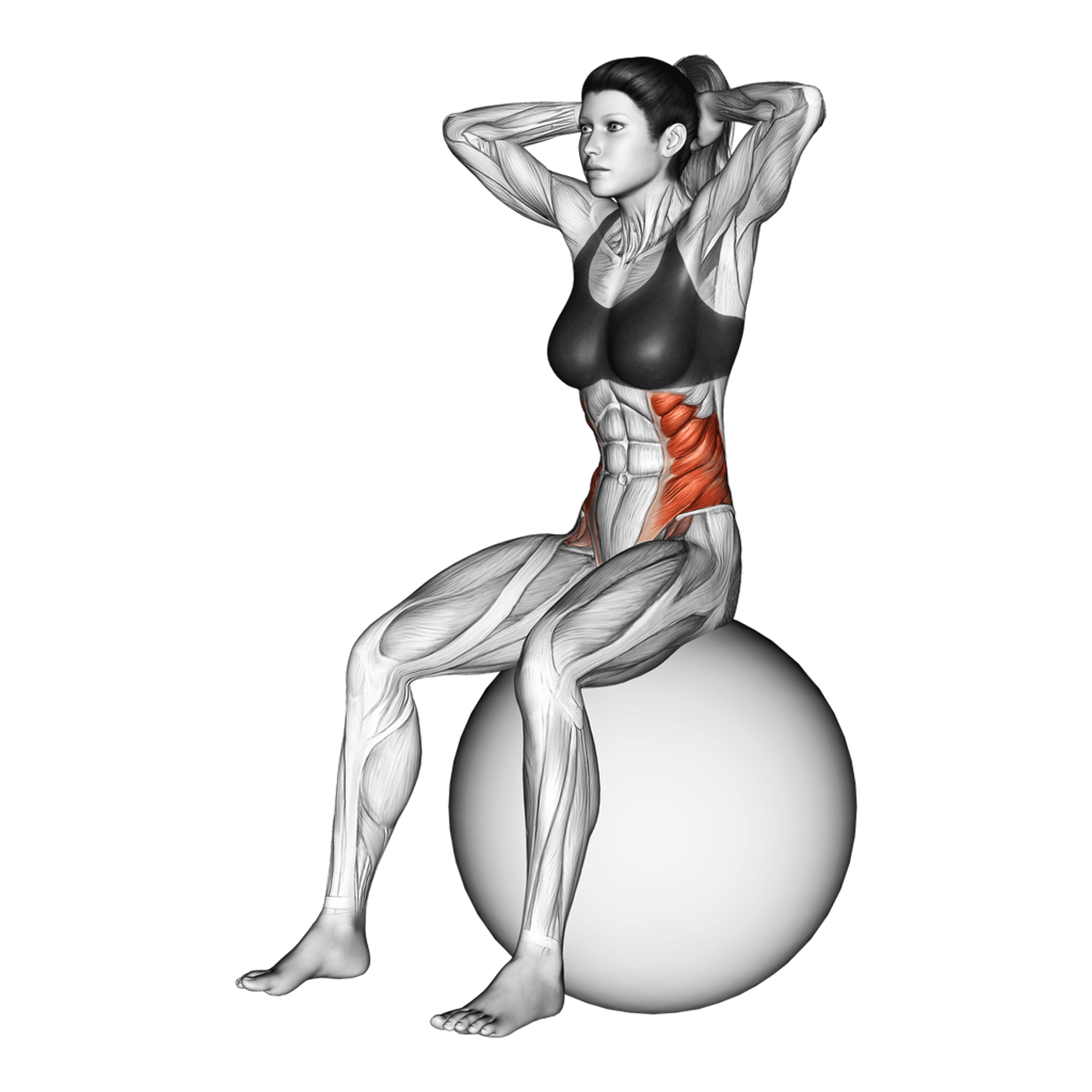 Exercise Ball Seated Twist
