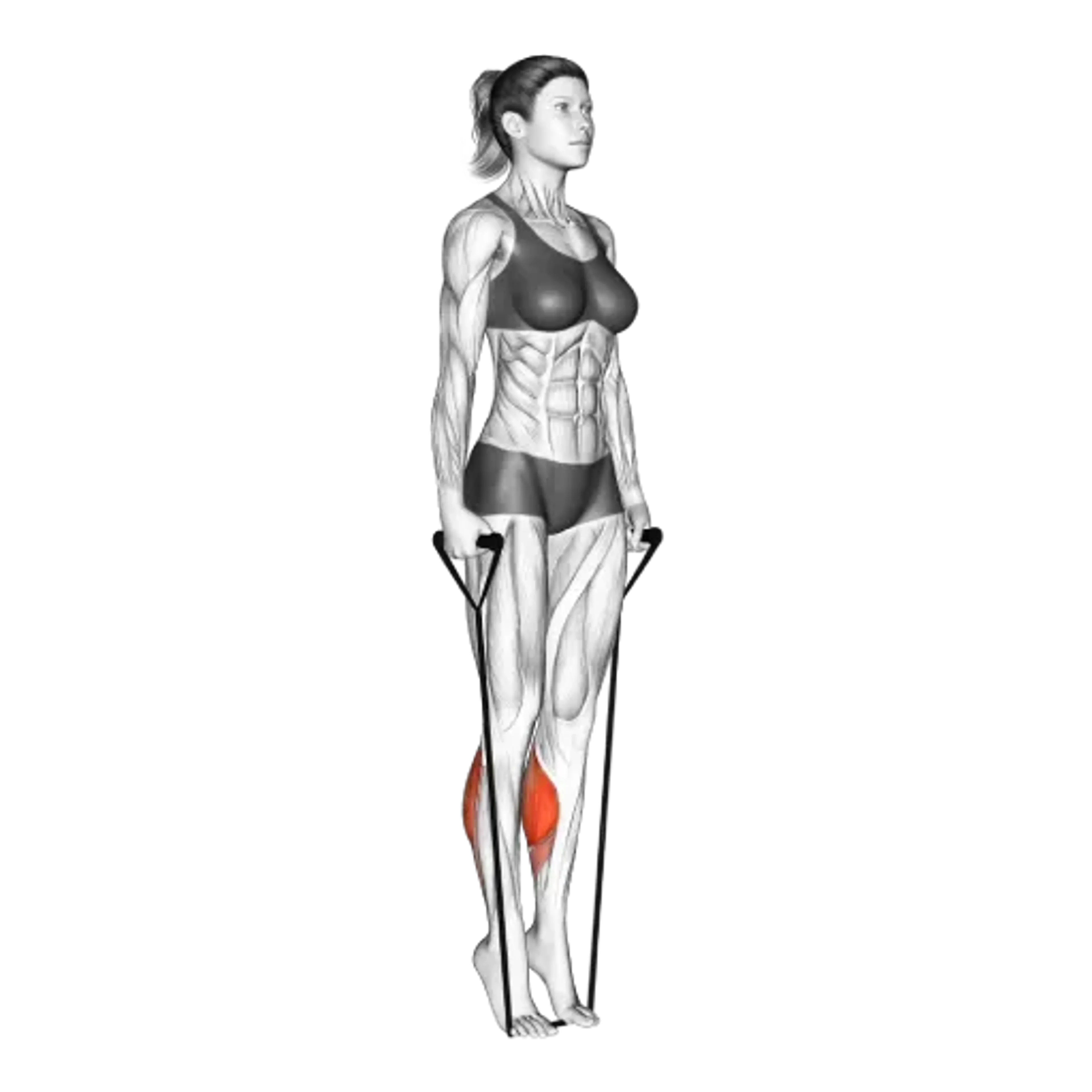 Band Calf Raise
