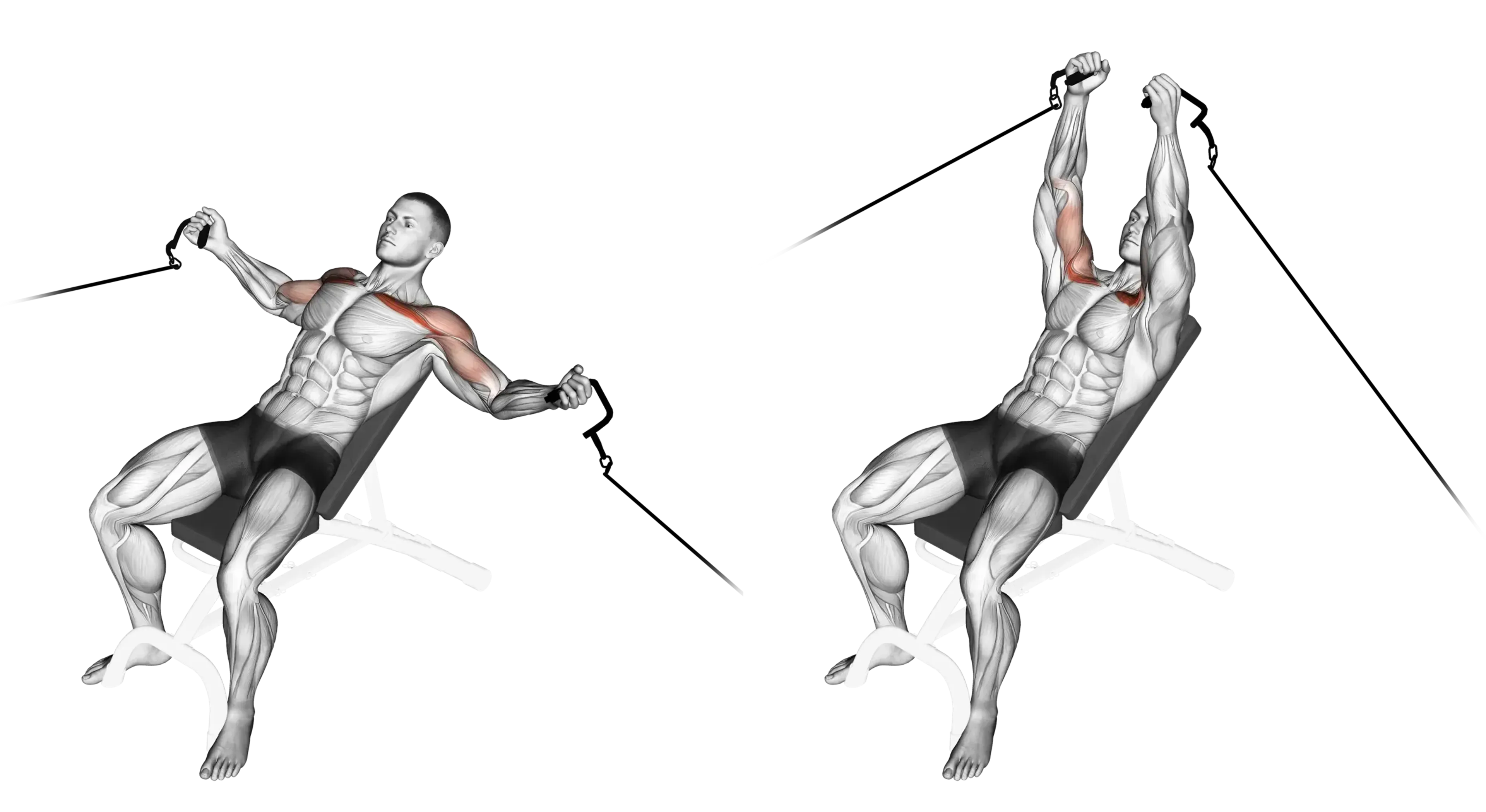 Cable Incline Fly