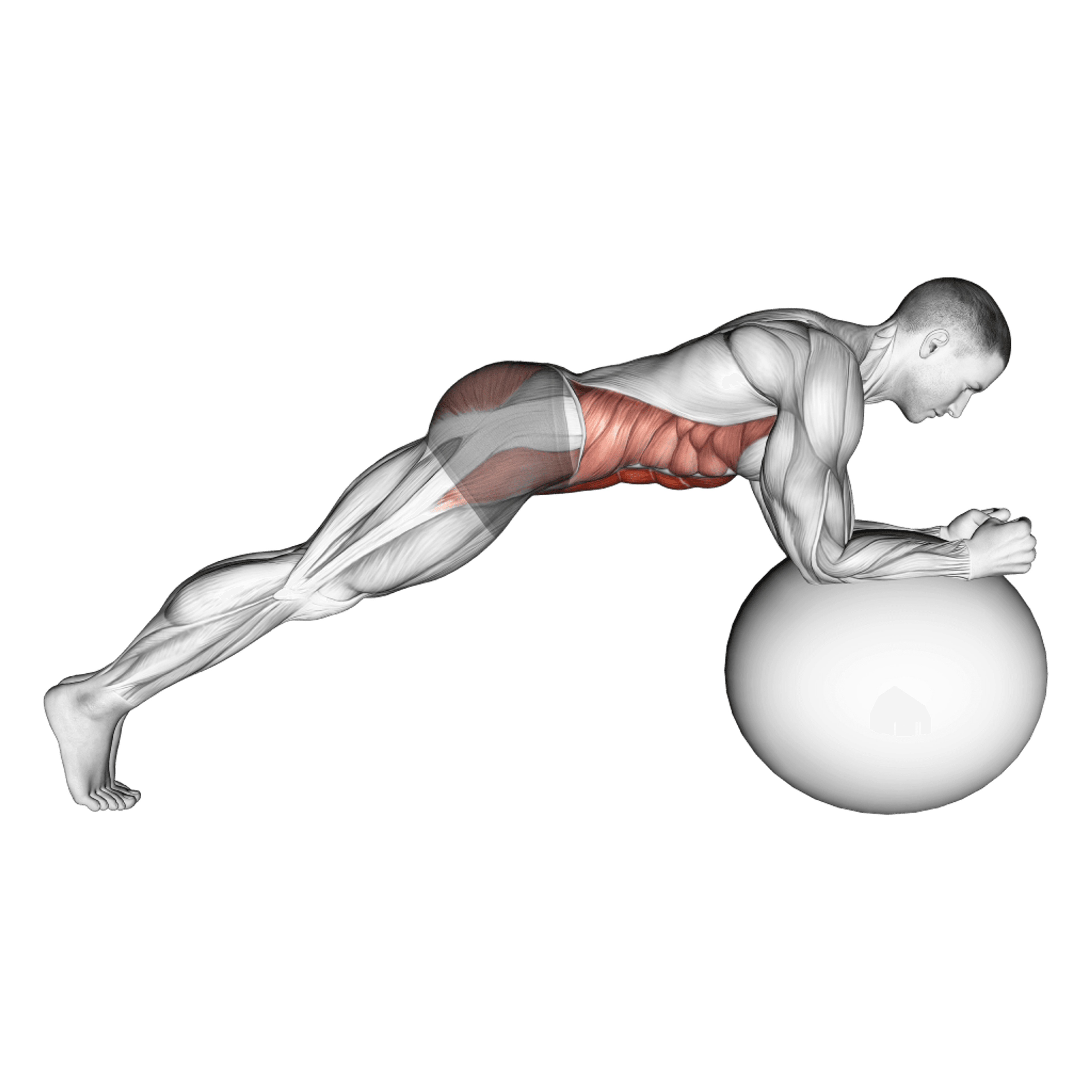 Exercise Ball Plank