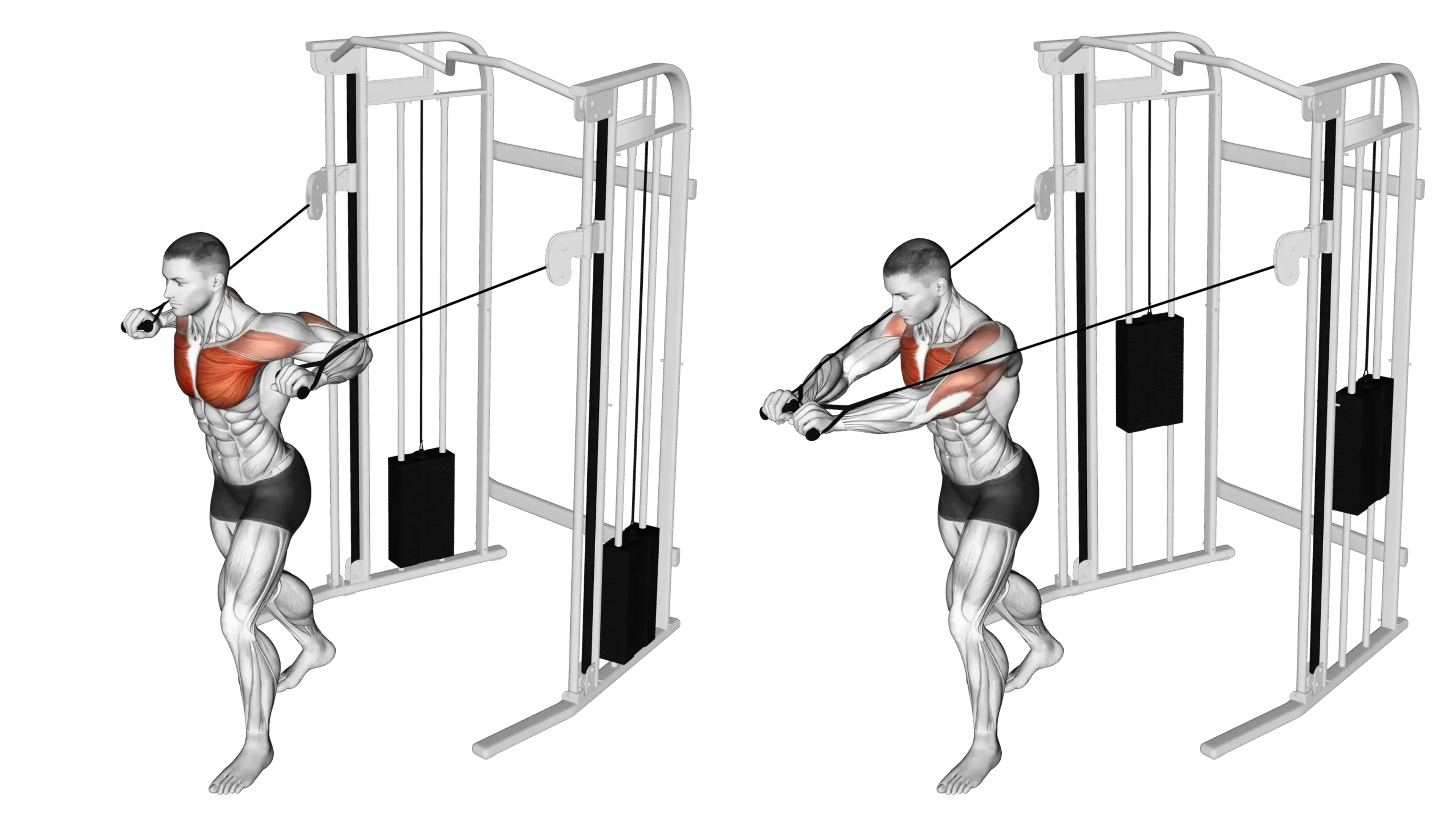 Cable Standing Chest Press