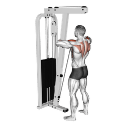 Cable Lateral Raise: Guide, Muscles Worked, Tips | Athlemove