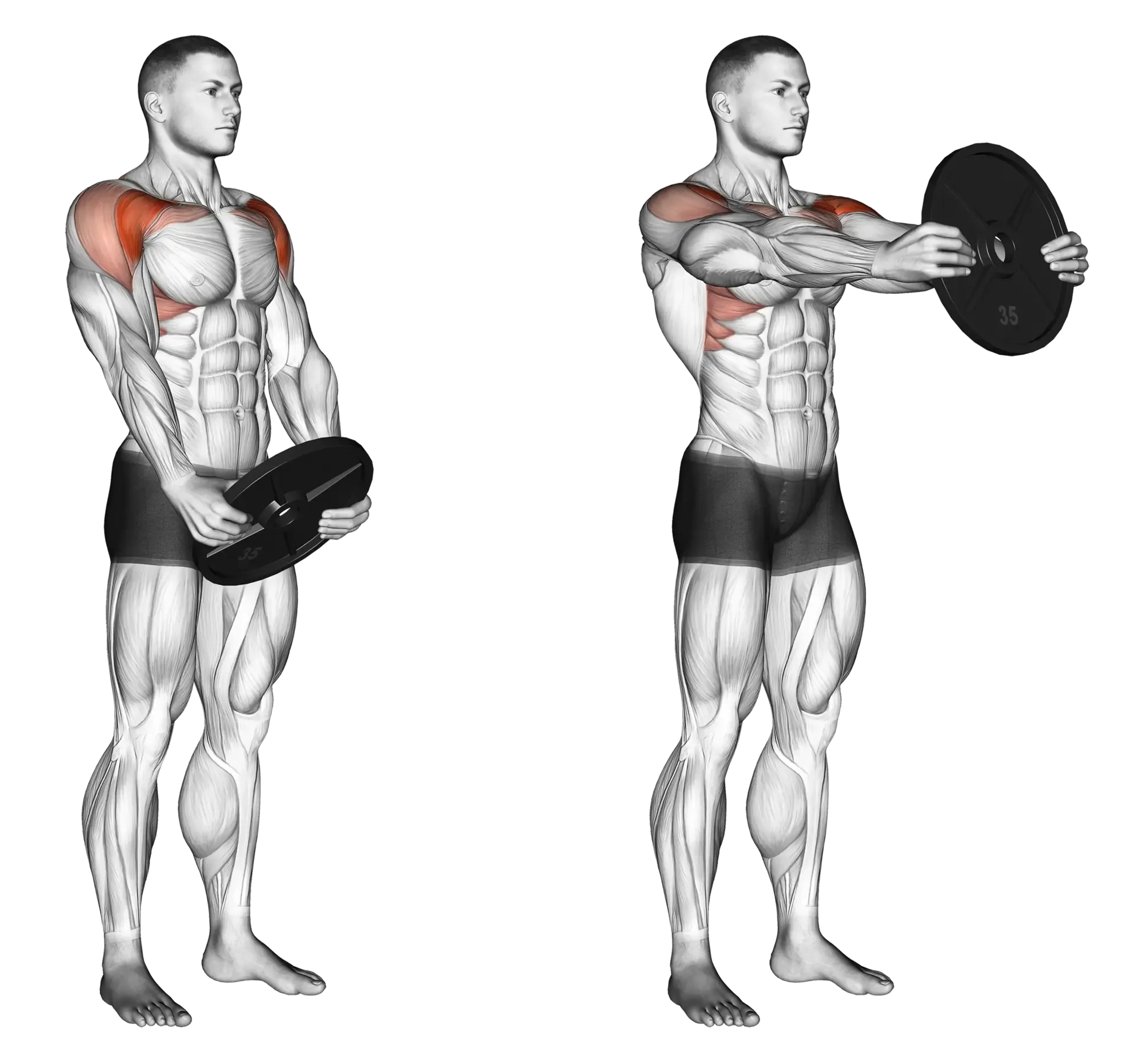 Weight Plate Front Raise