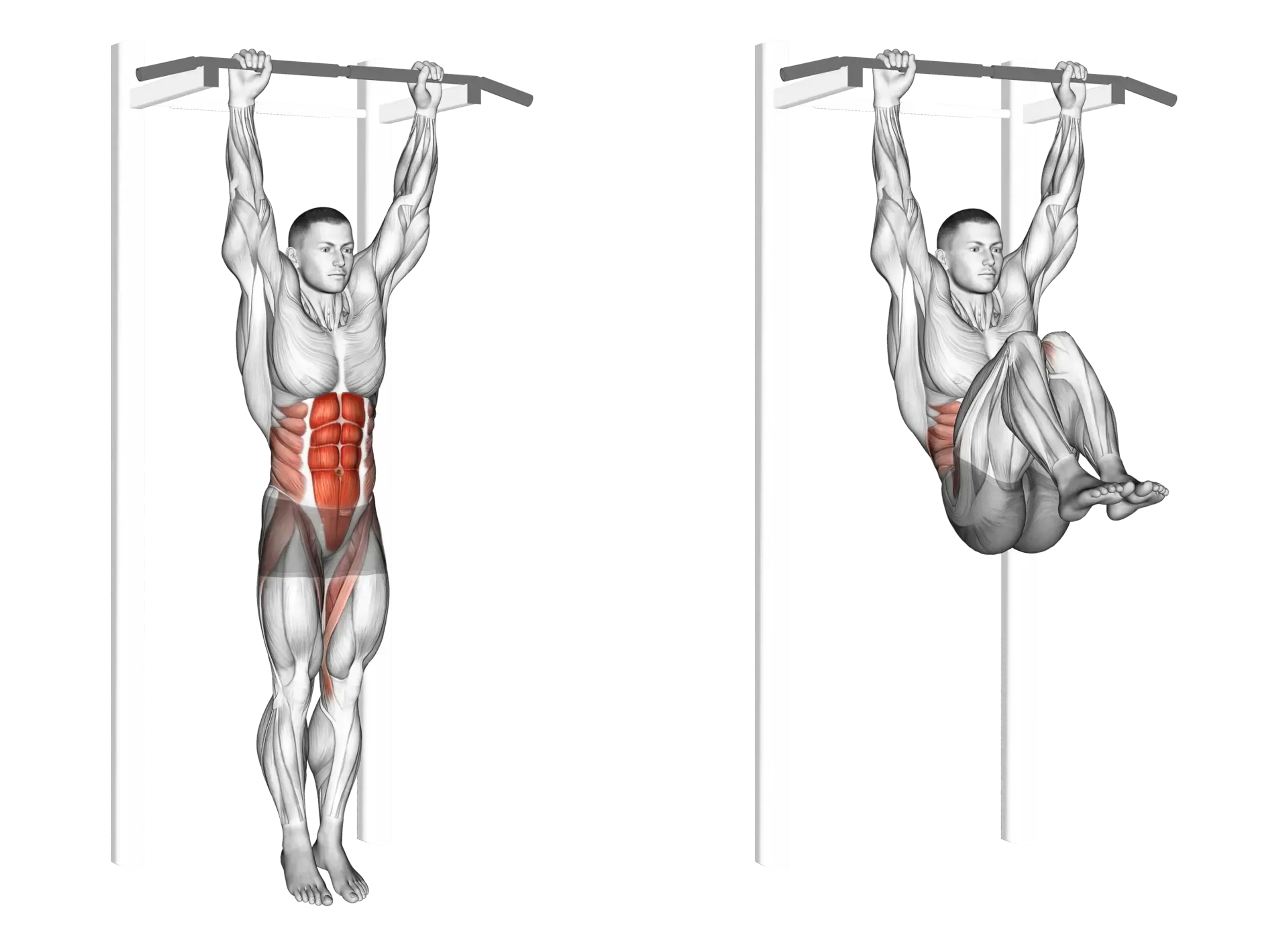 Hanging Knee Raise