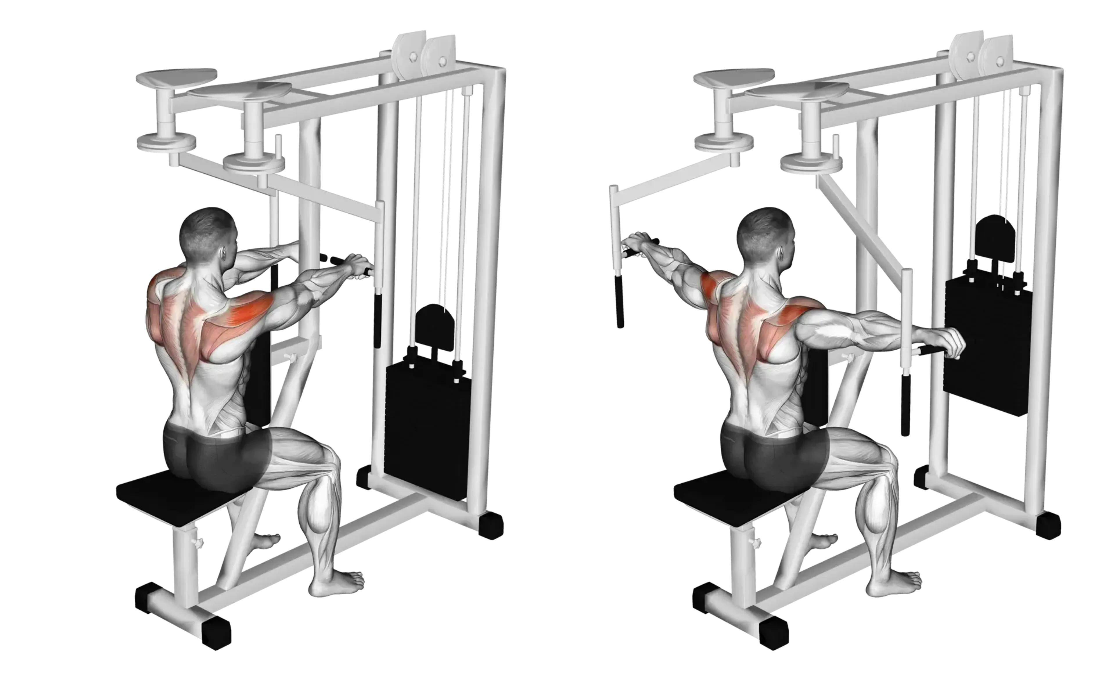 Machine Reverse Fly