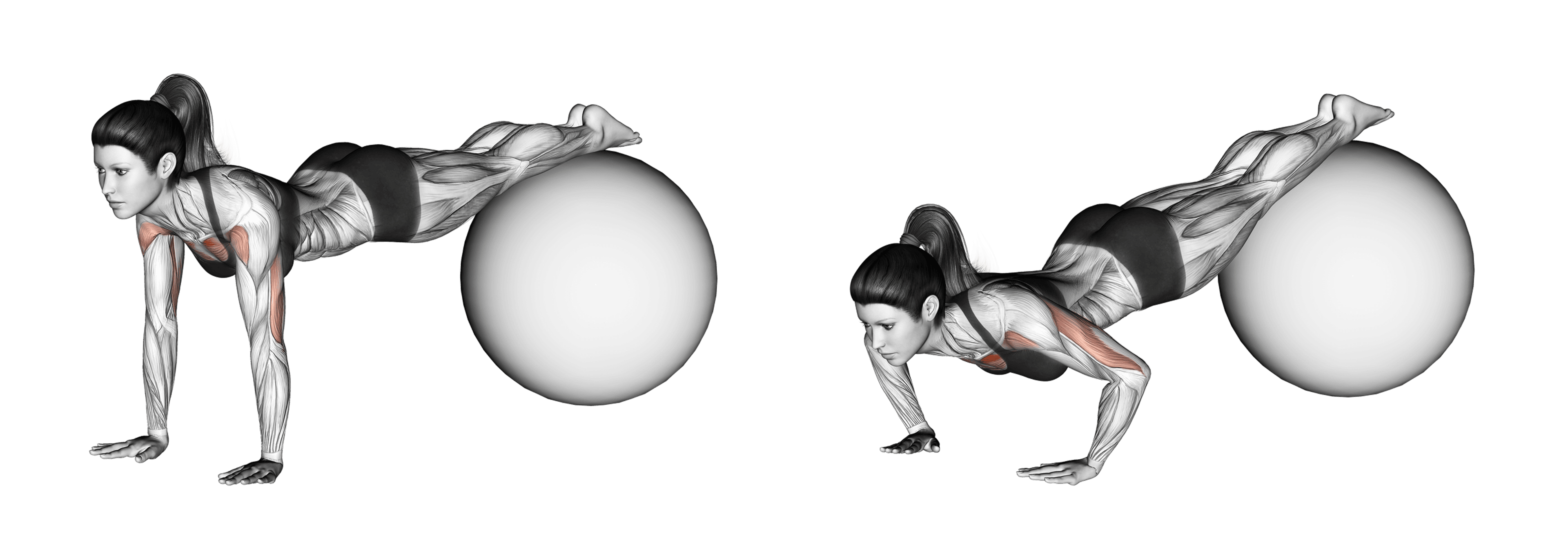 Exercise Ball Decline Push-Up