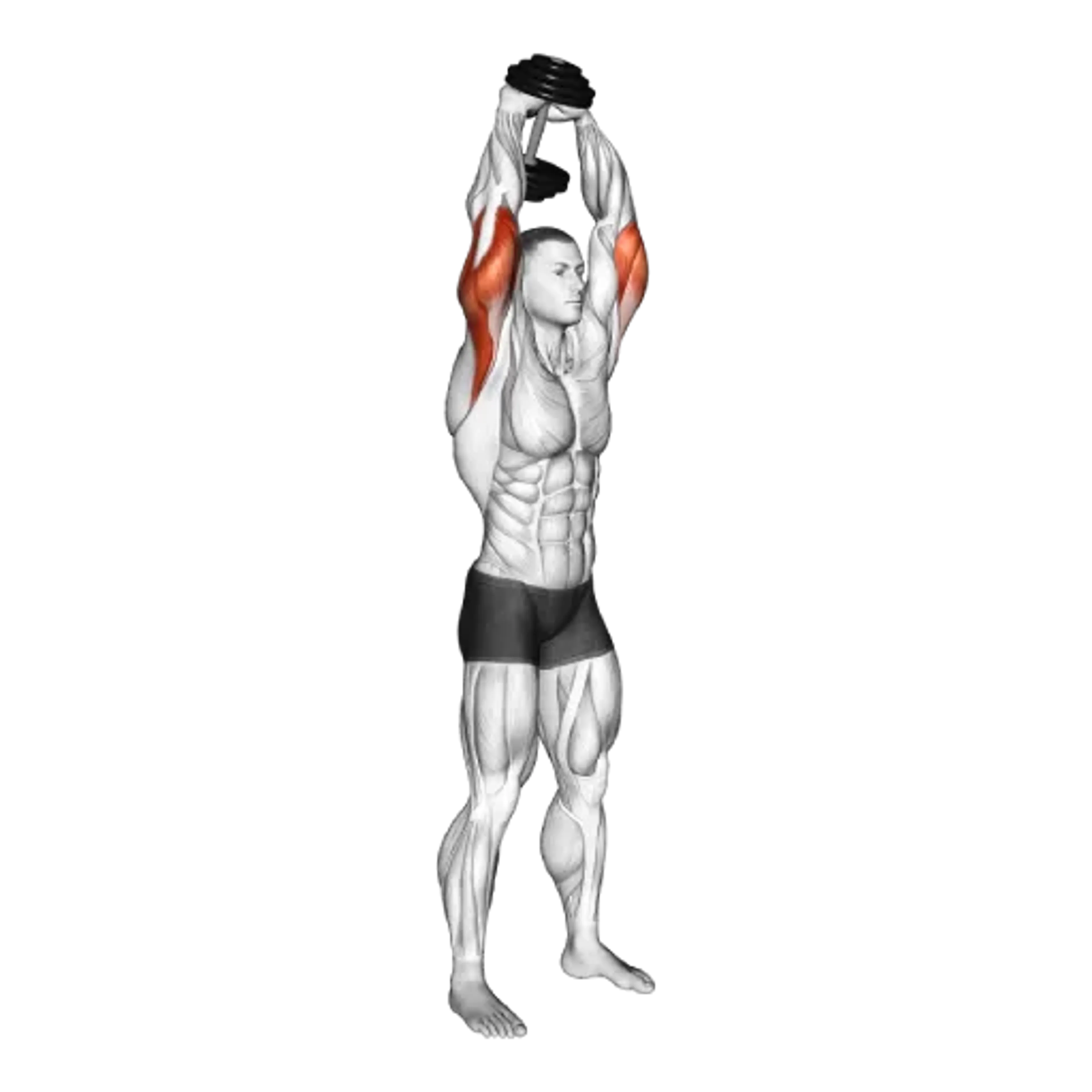 Dumbbell Triceps Extension