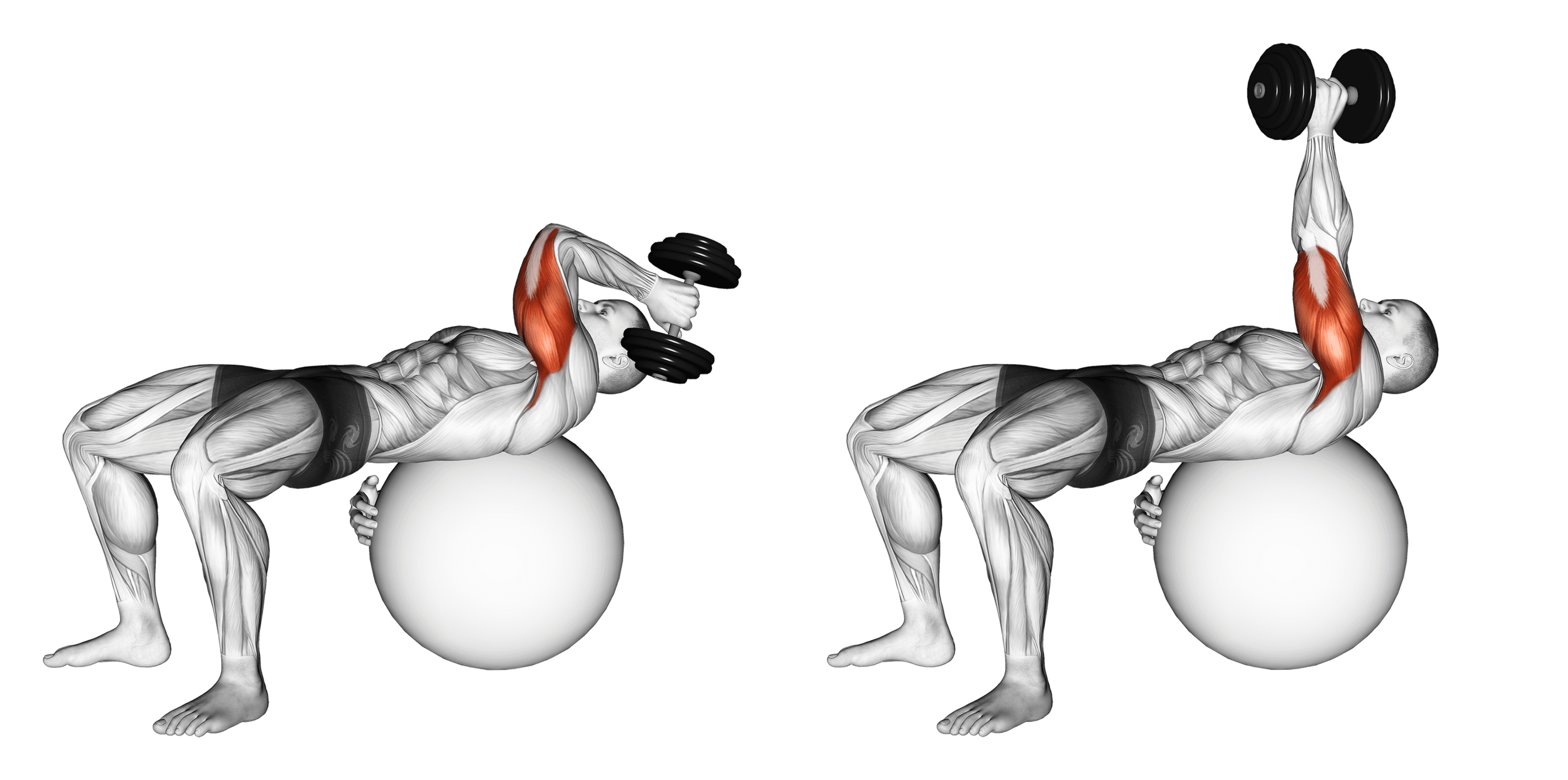 Dumbbell Exercise Ball Single-Arm French Press