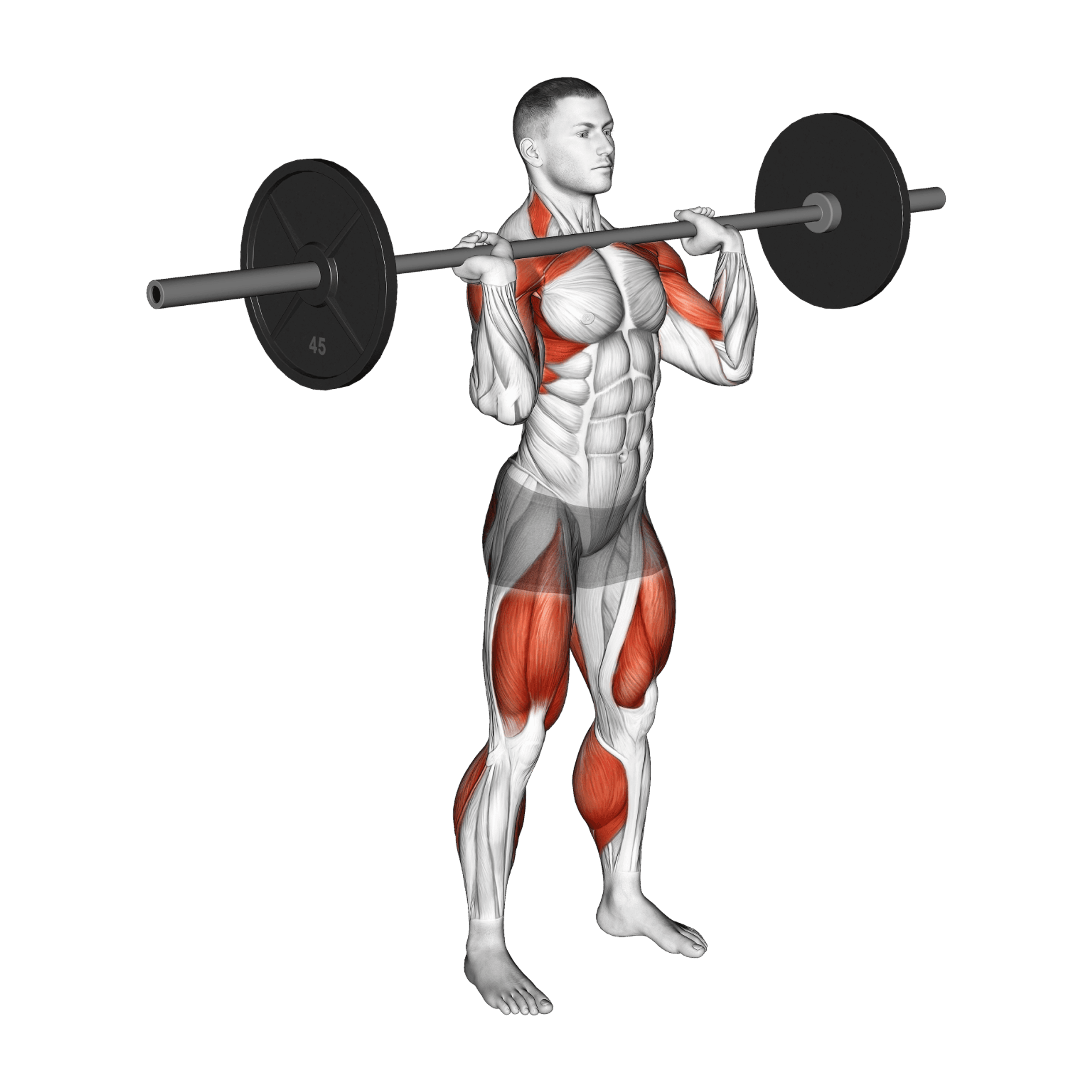 Barbell Power Clean