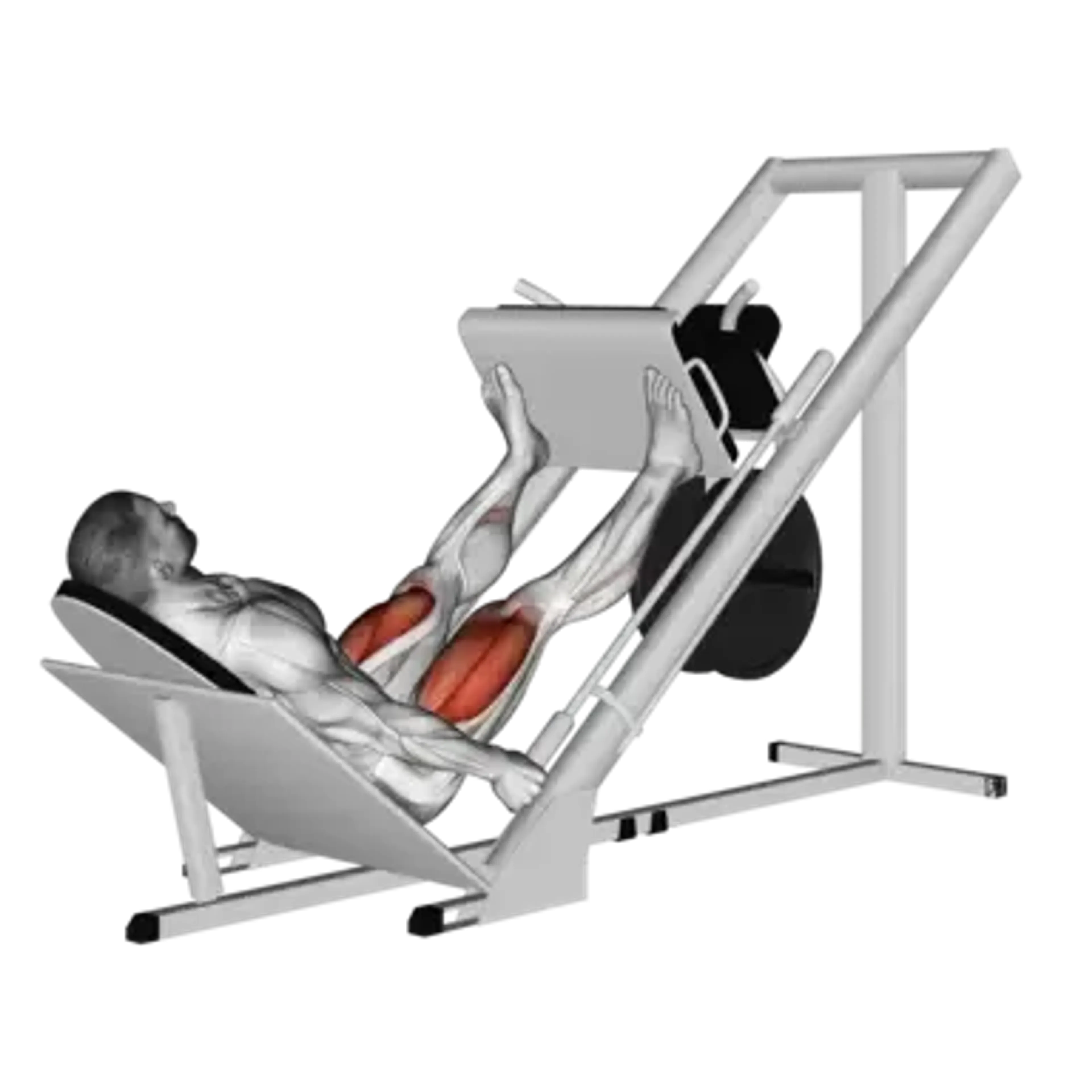 Machine Leg Press