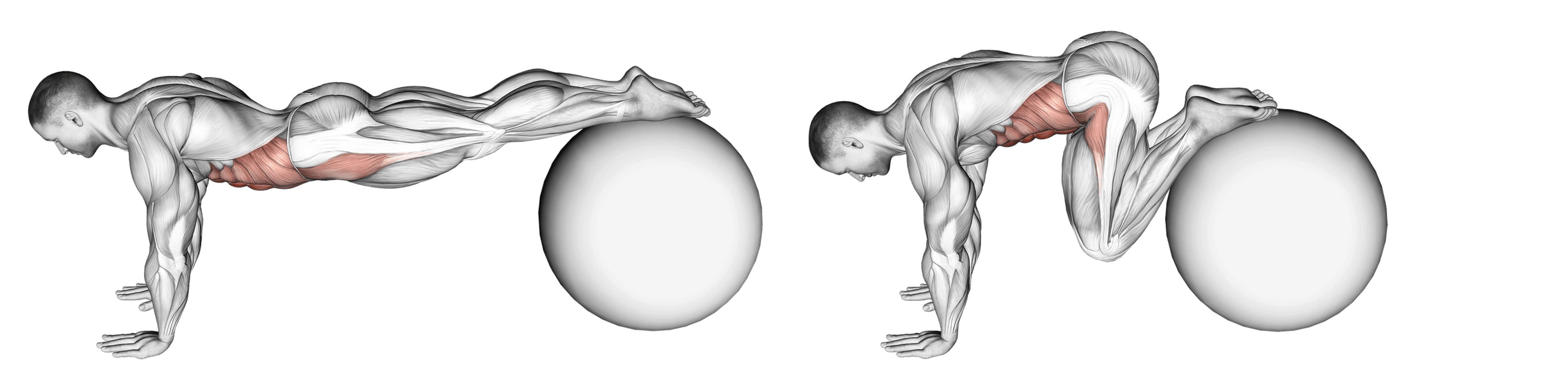 Exercise Ball Pull-In