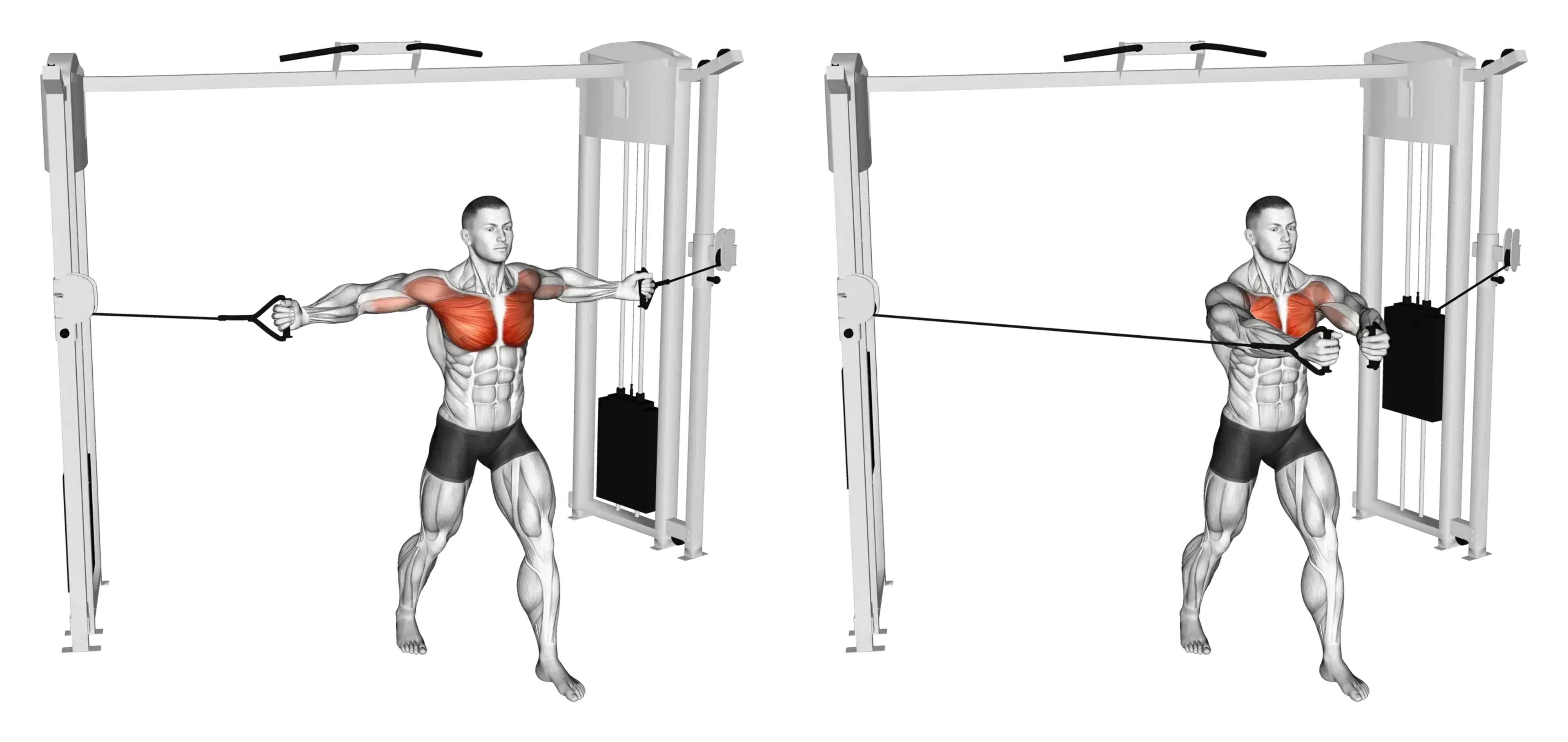 Middle Cable Chest Fly