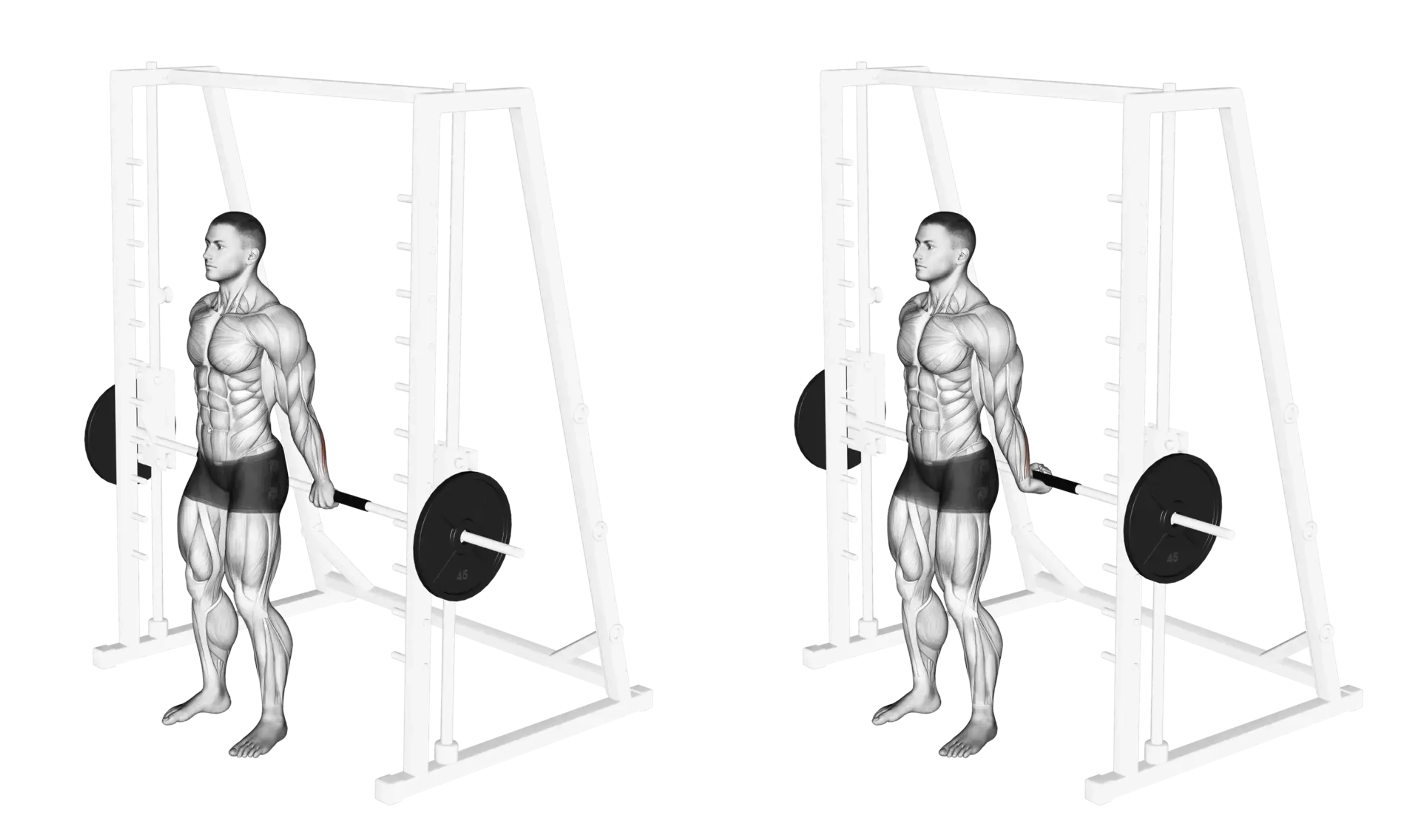 Behind the Back Smith Machine Wrist Curls