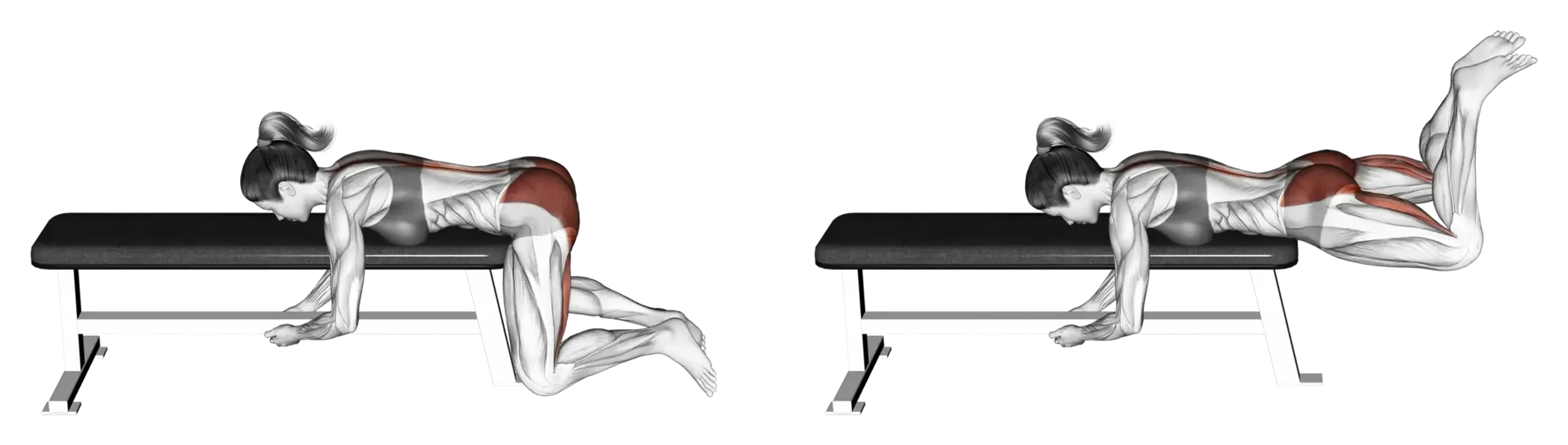 Frog Reverse Hyperextension