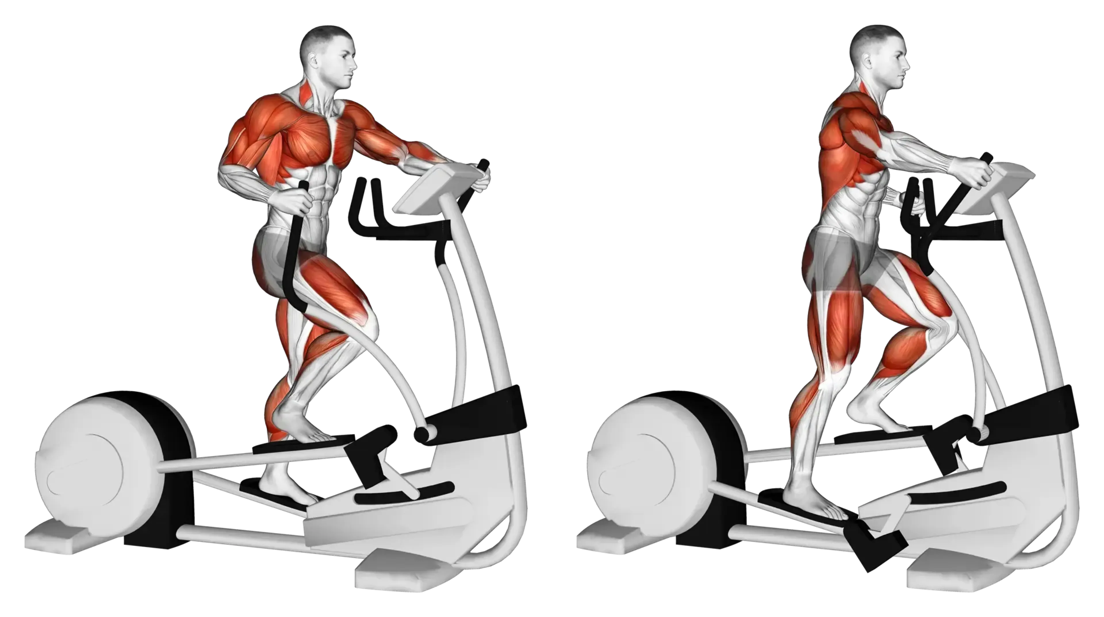 Elliptical Training