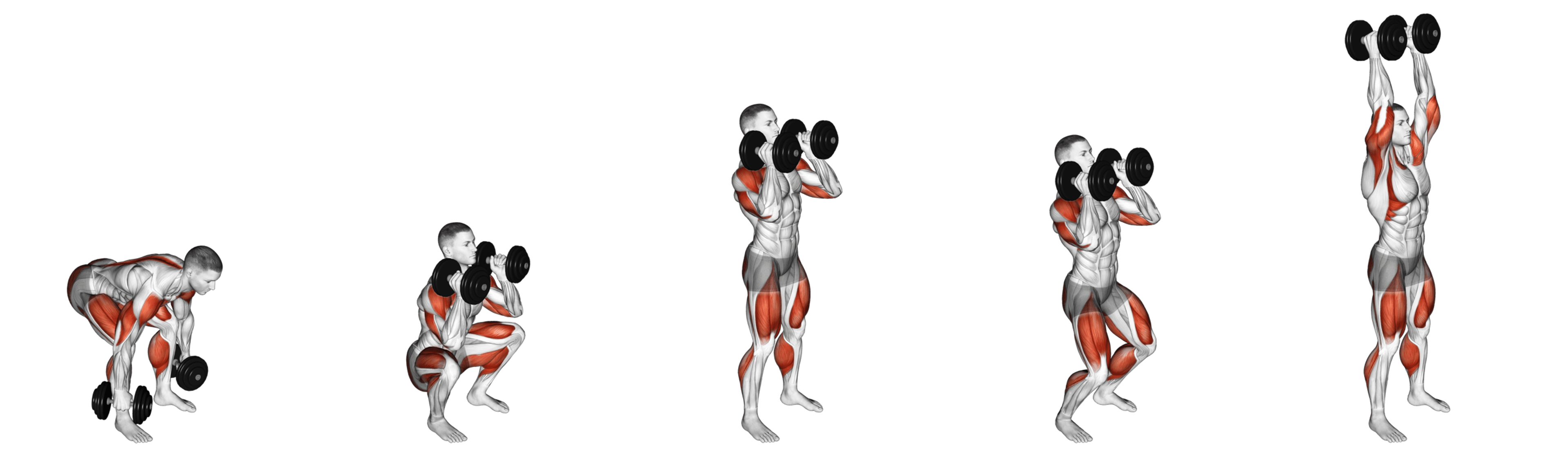 Dumbbell Power Clean and Jerk