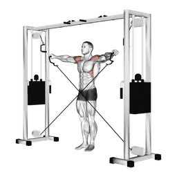 Band Lateral Raise: Guide, Muscles Worked, Tips | Athlemove