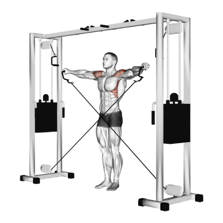 Machine Lateral Raise: Guide, Muscles Worked, Tips | Athlemove