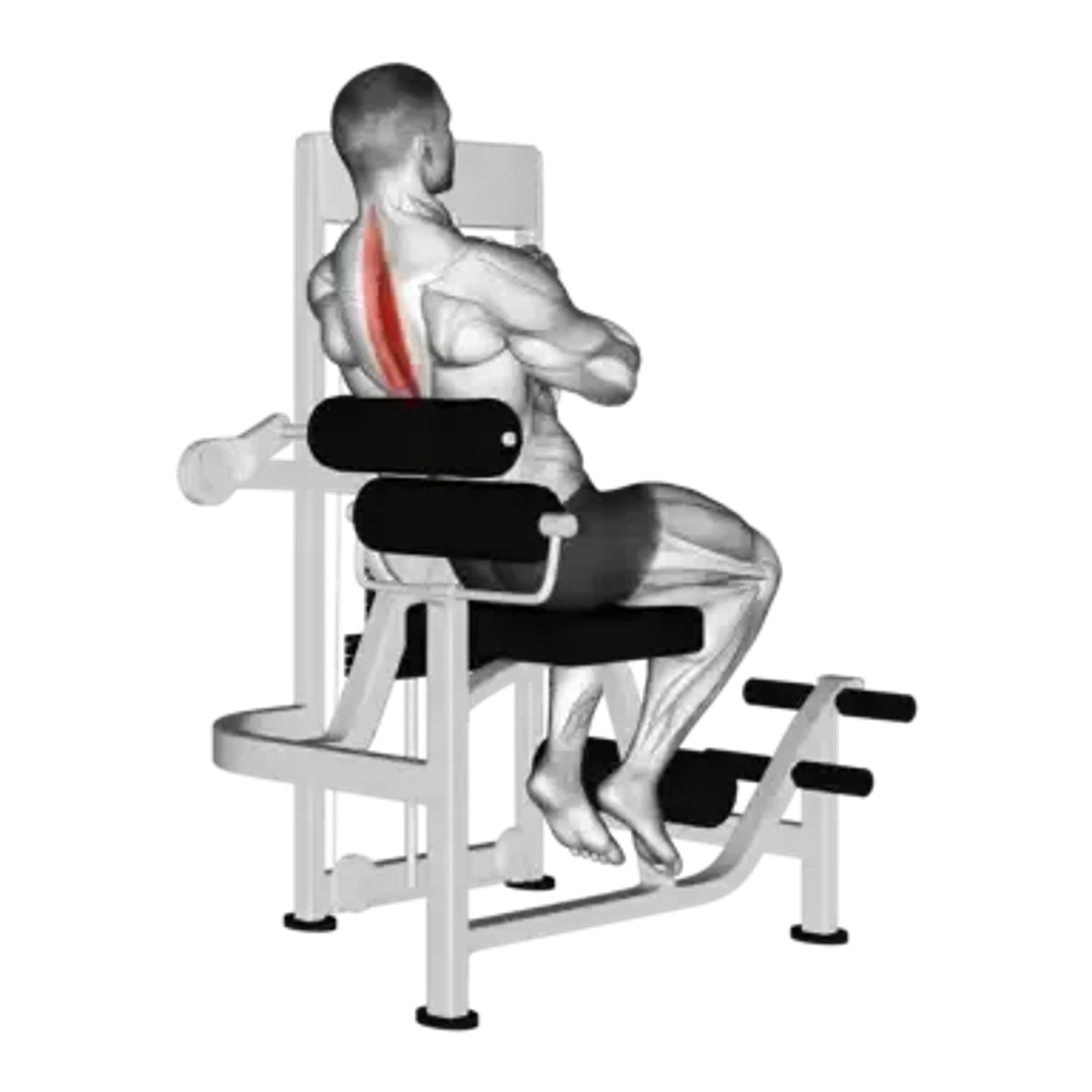 Machine Back Extension