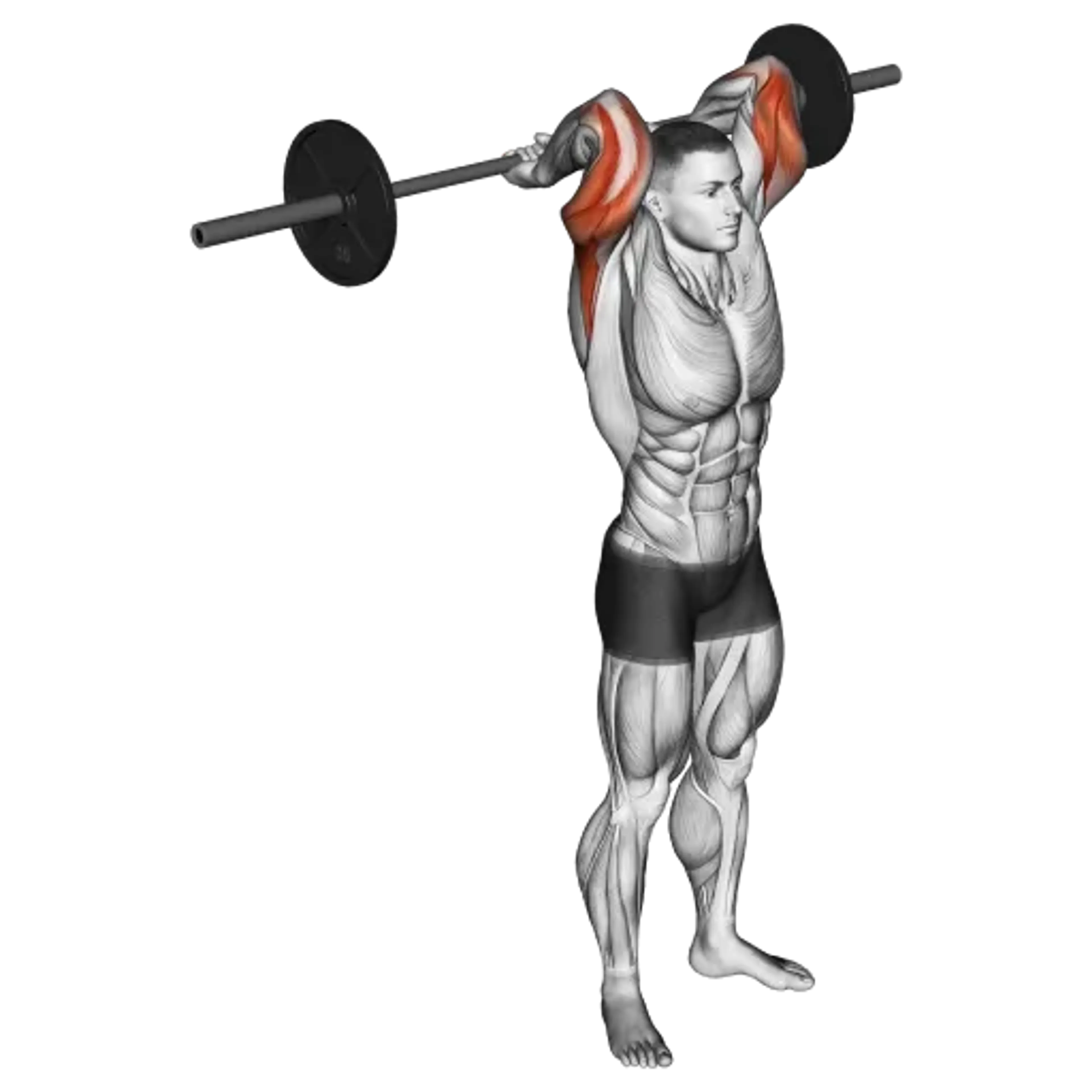 Barbell Triceps Overhead Extension