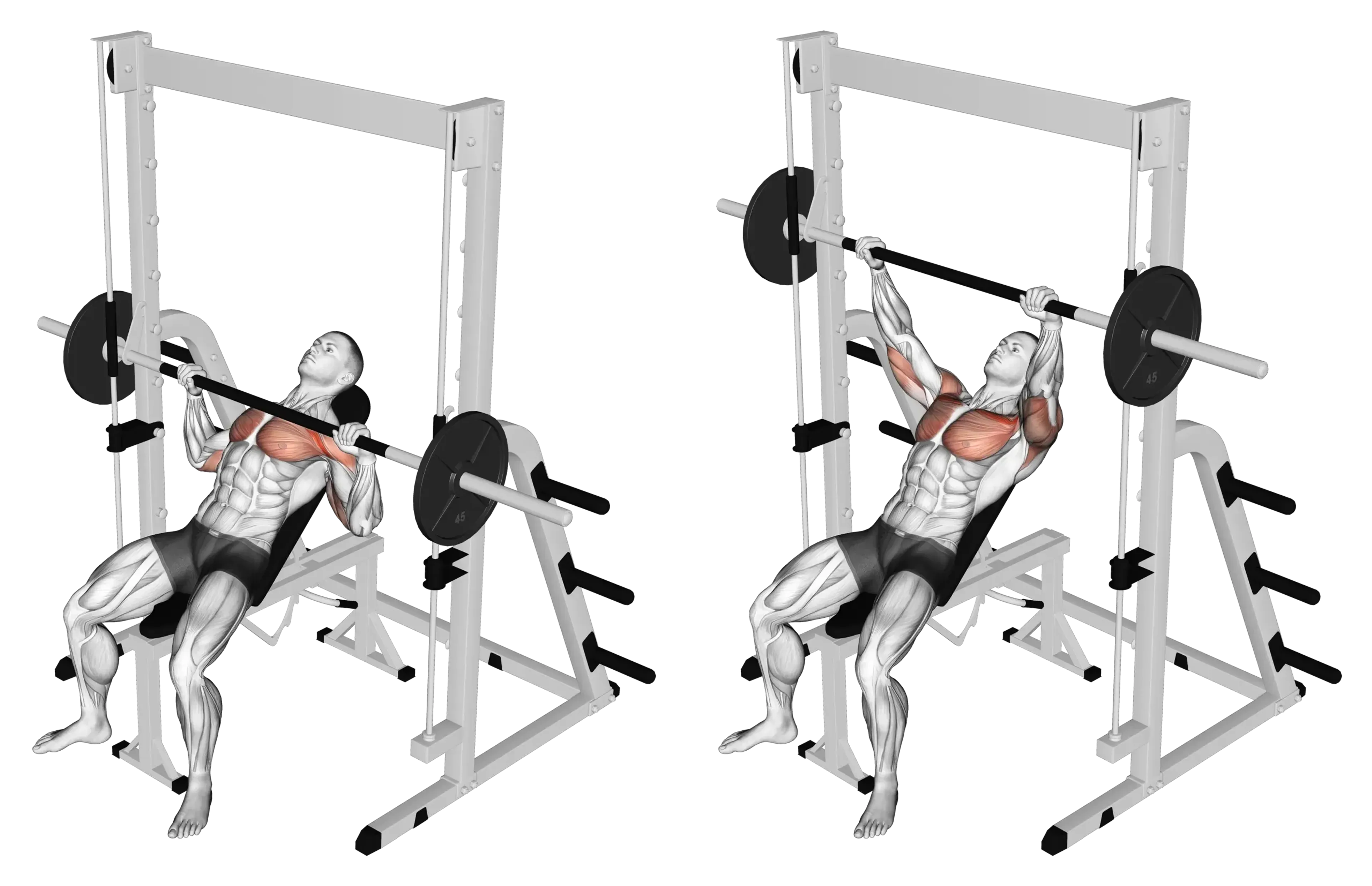Smith Machine Incline Bench Press