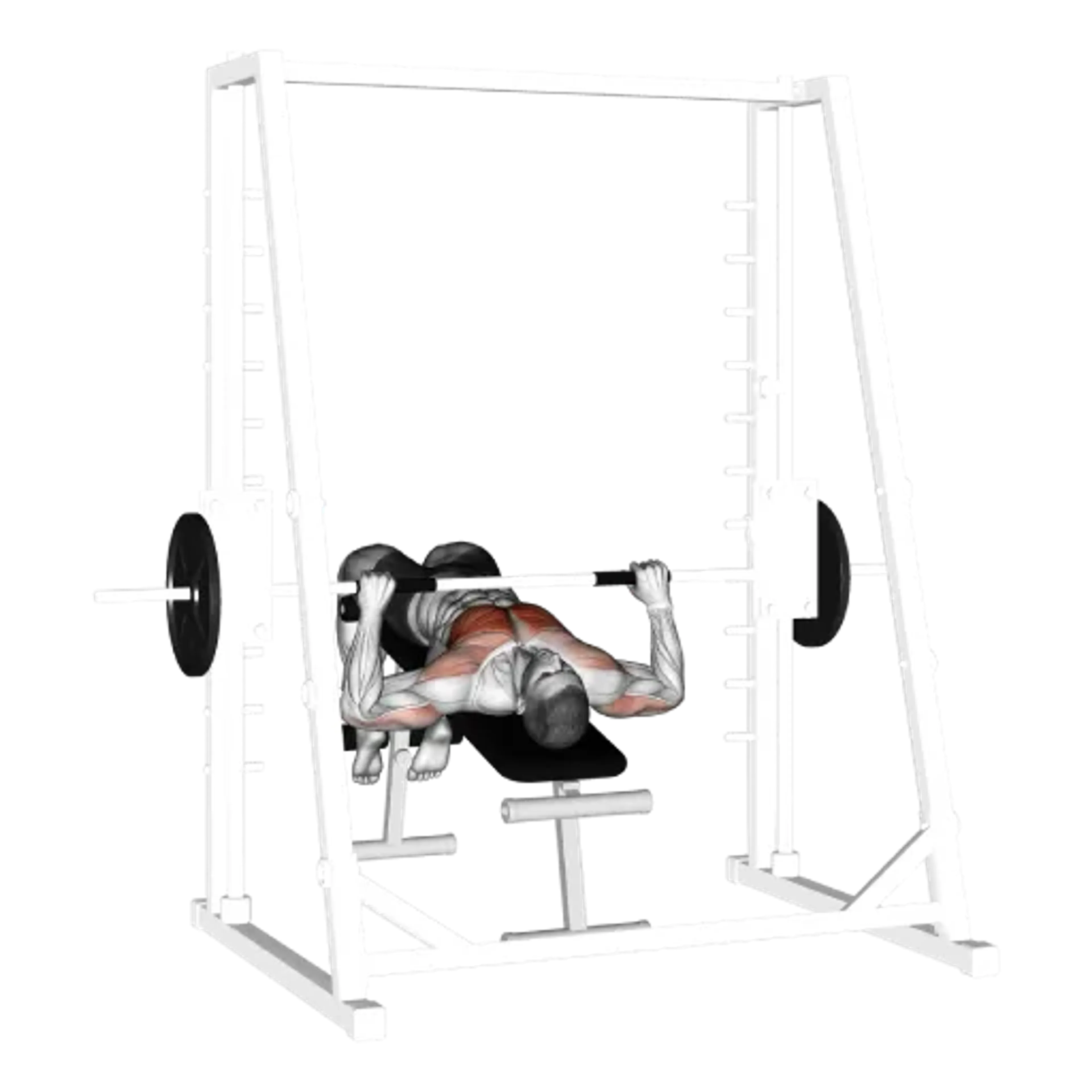 Smith Machine Decline Bench Press