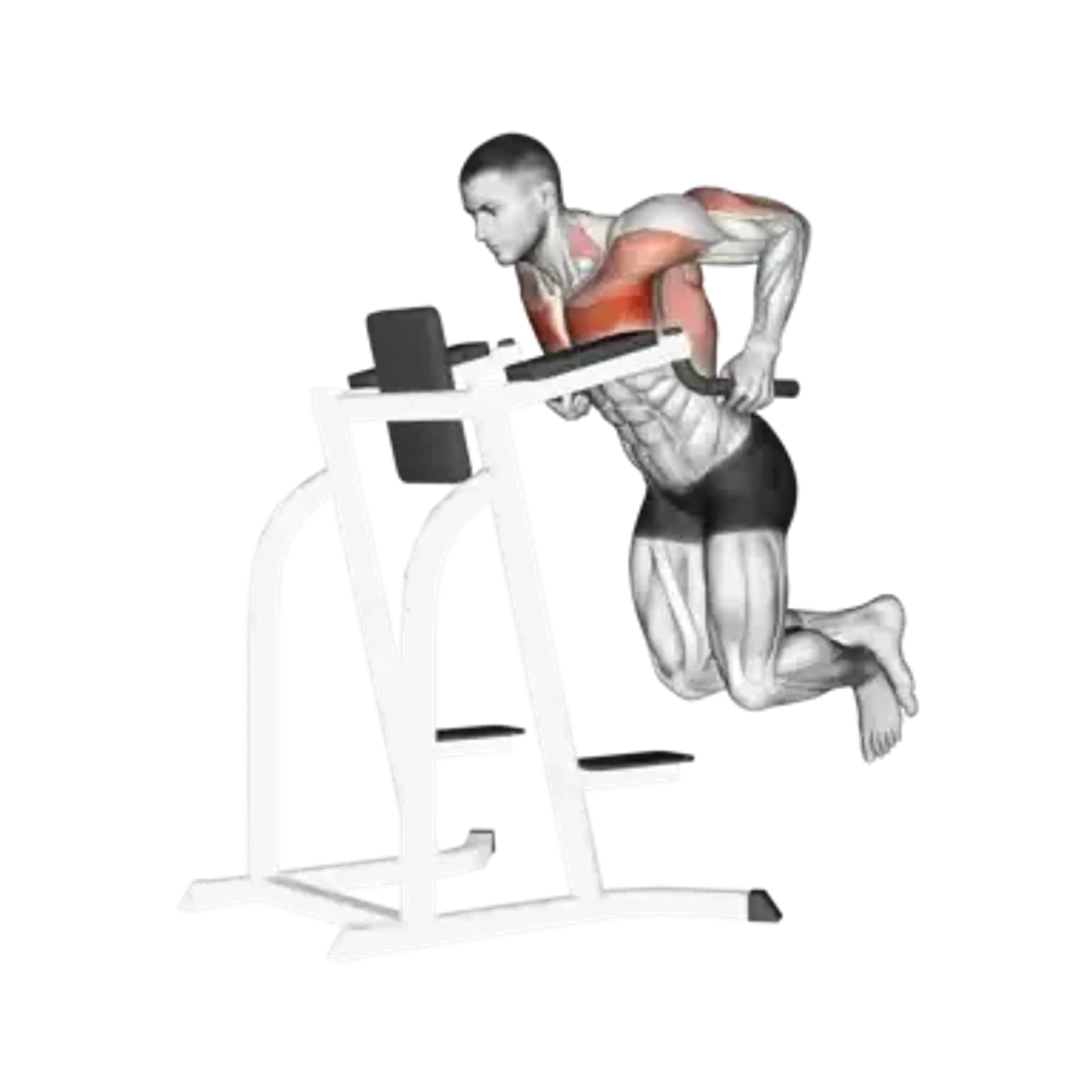 Chest Dip