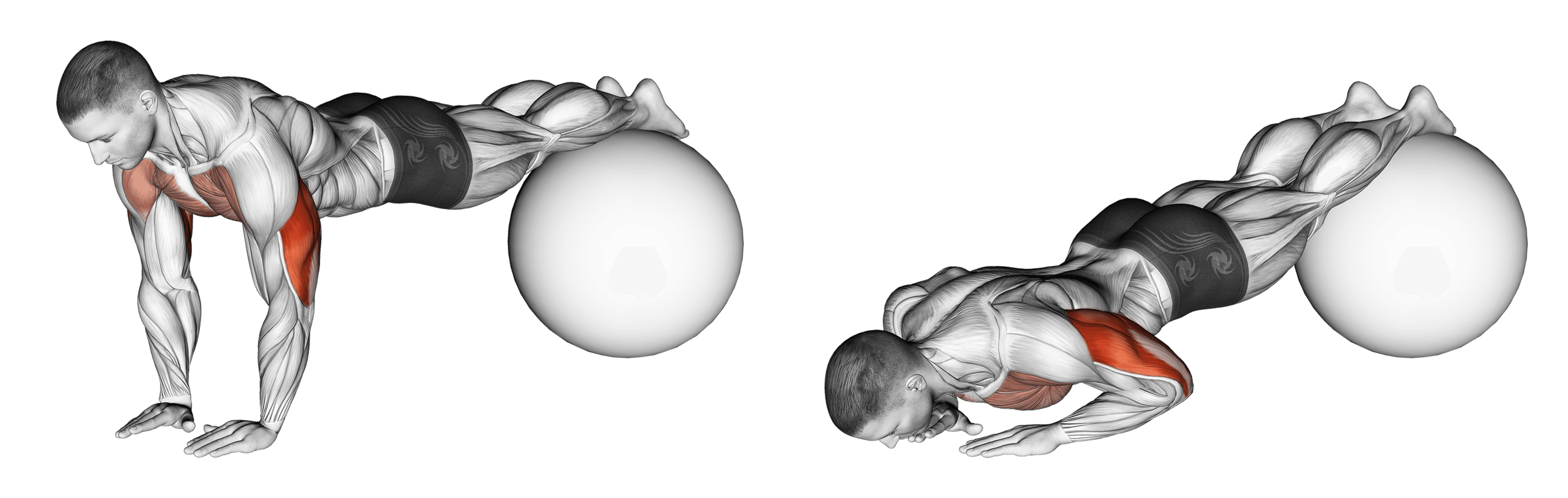 Exercise Ball Narrow Push-Up