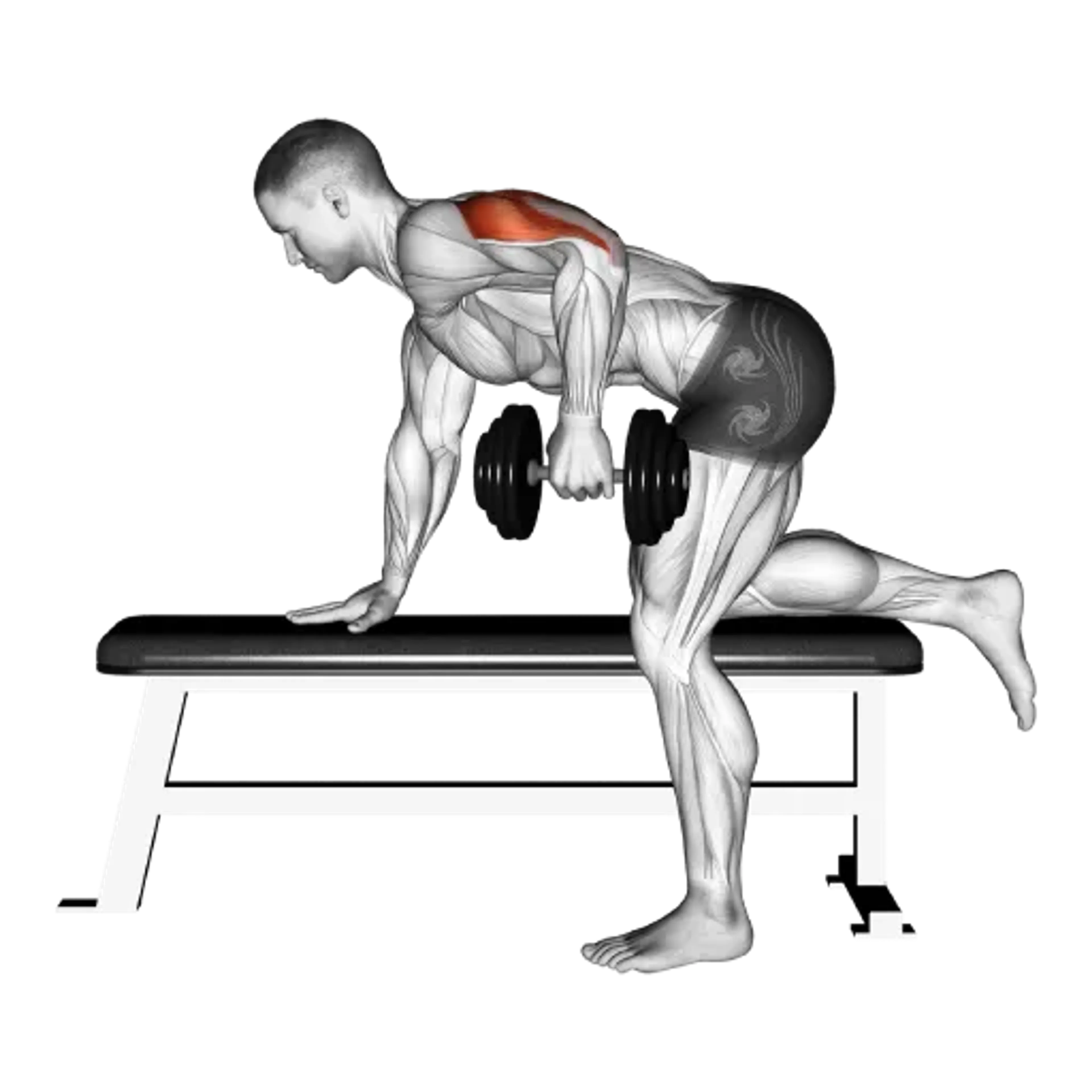 Dumbbell Single-Arm Triceps Kickback