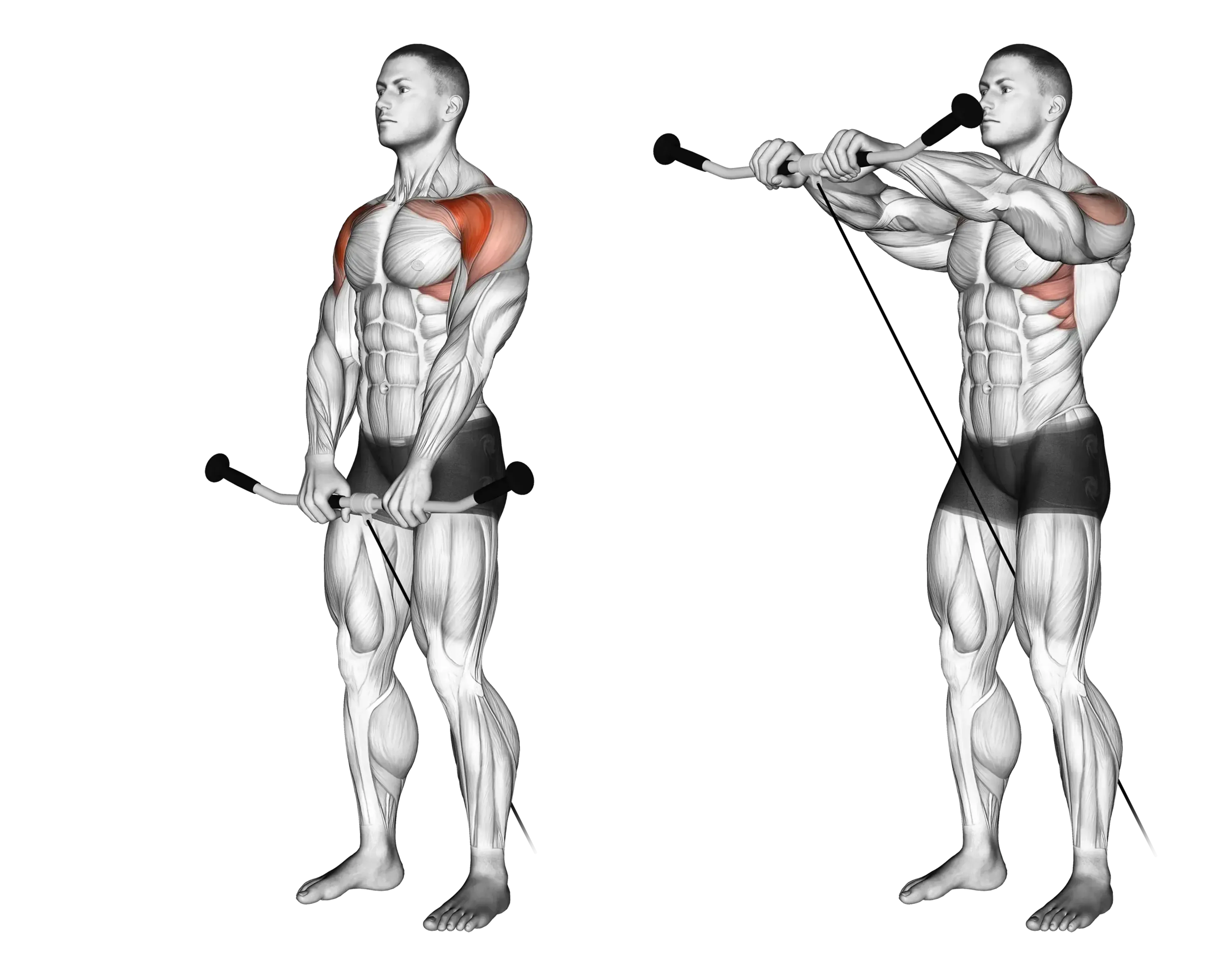 Cable Front Raise