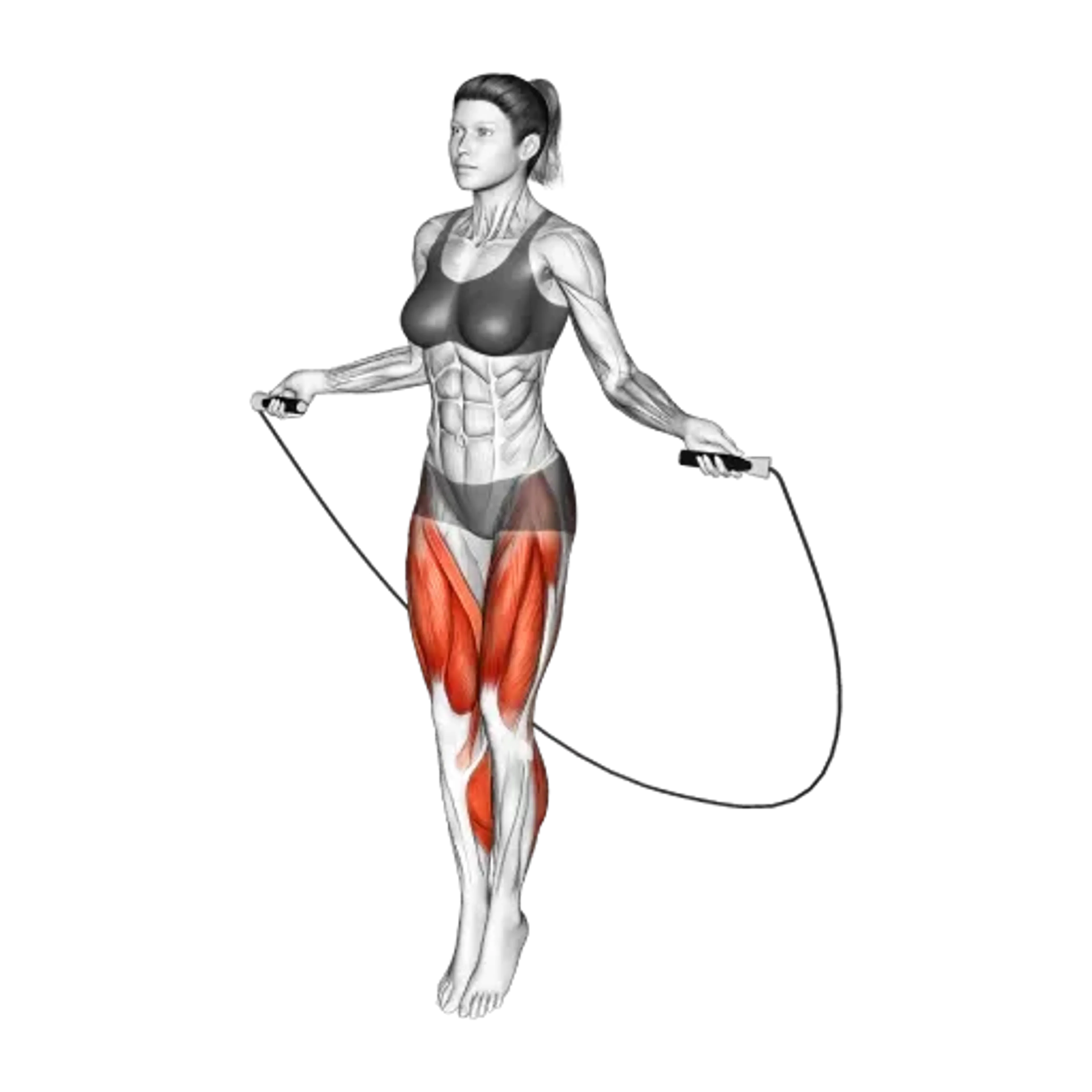 Jump Rope