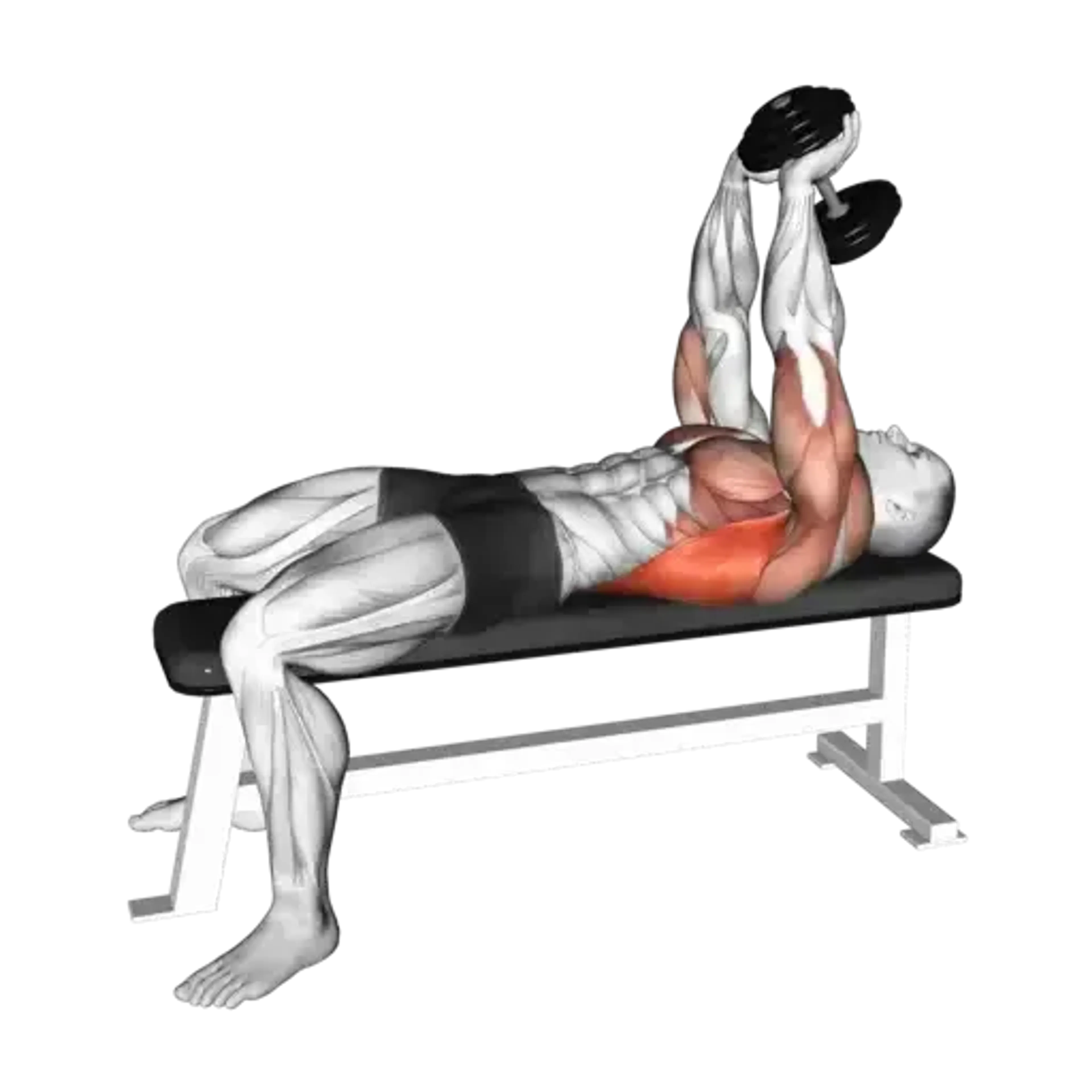 Dumbbell Pullover