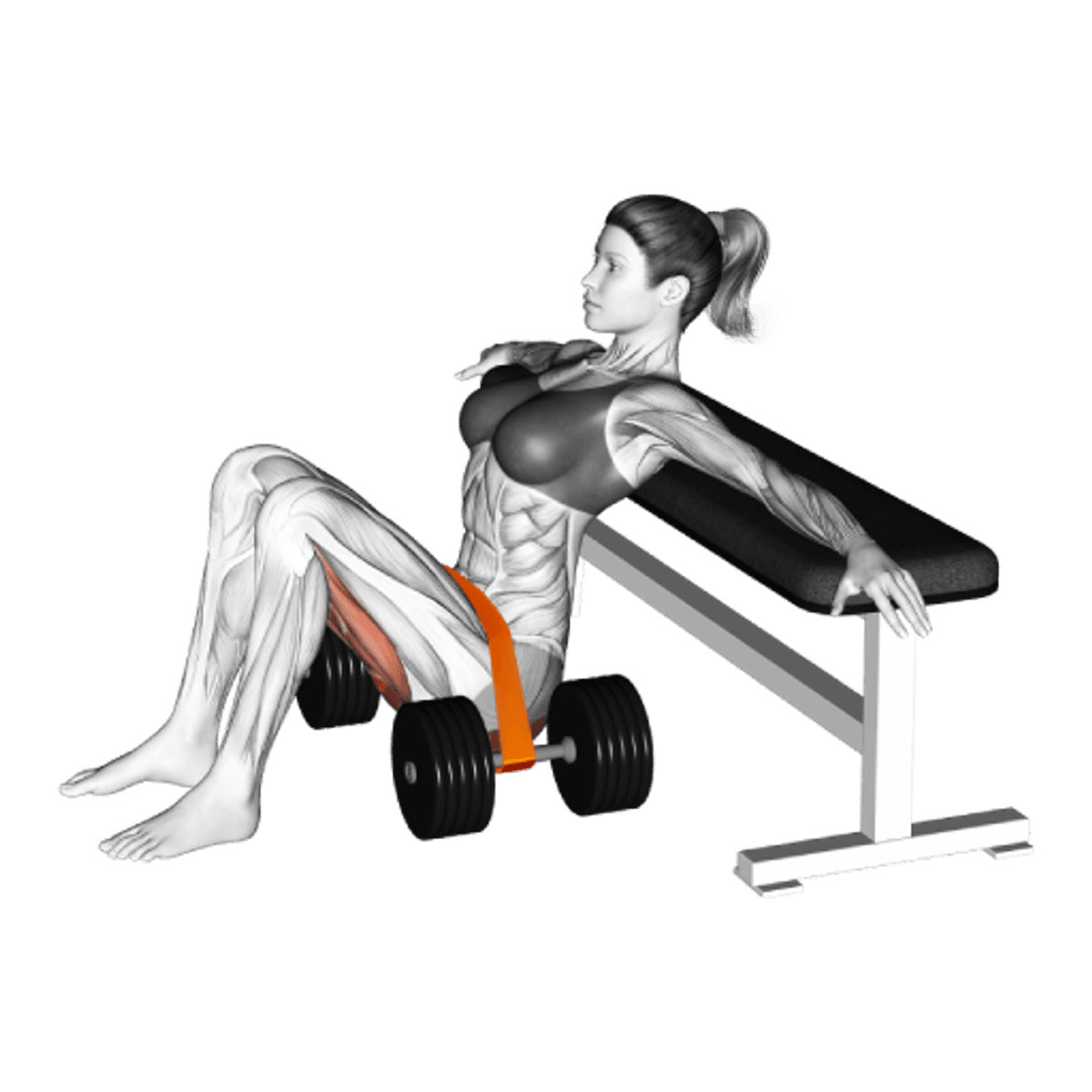 Dumbbell Hip Thrust Guide Muscles Worked Tips Athlemove dumbbell-hip-thrust-guide-muscles-worked-tips-athlemove