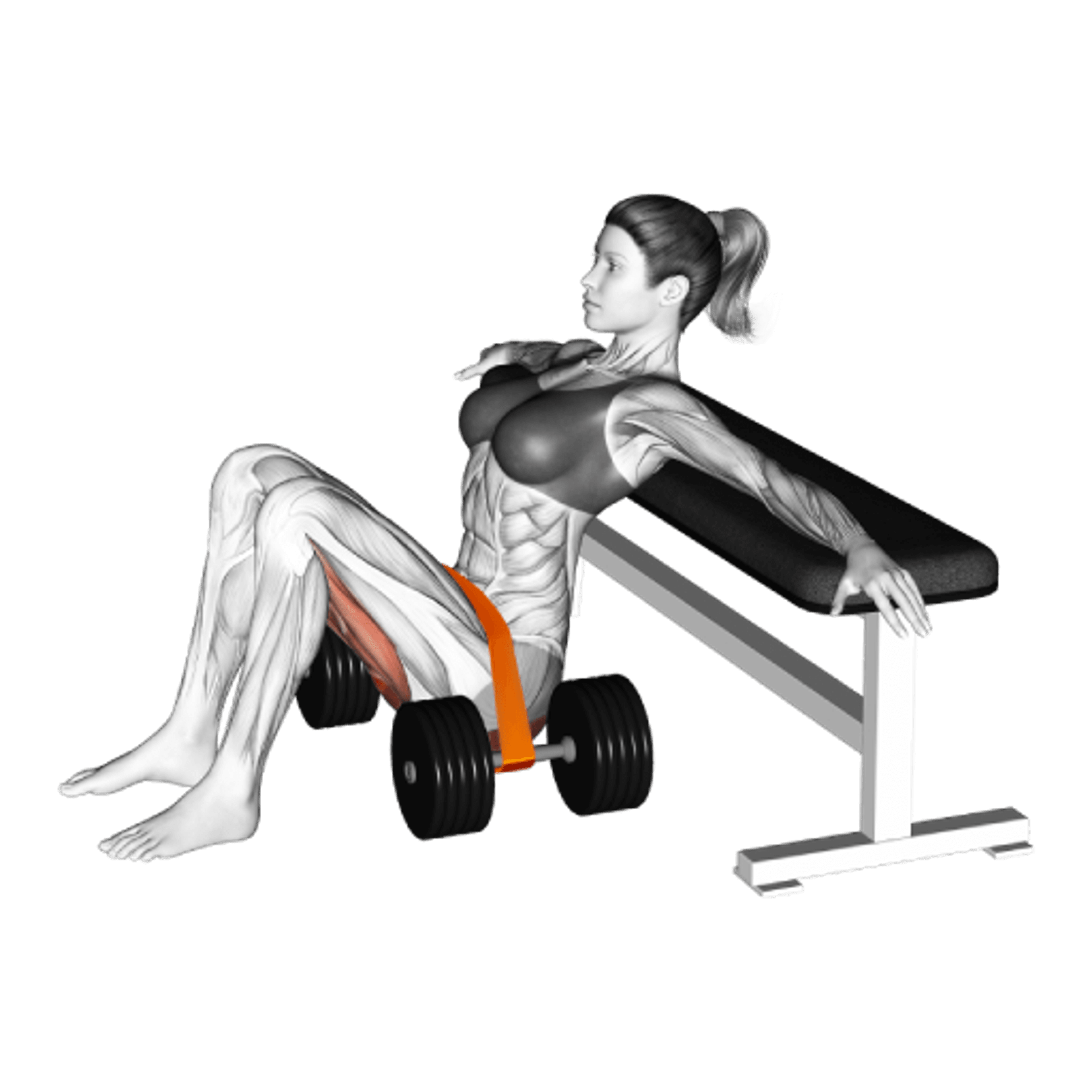 Band Hip Thrust