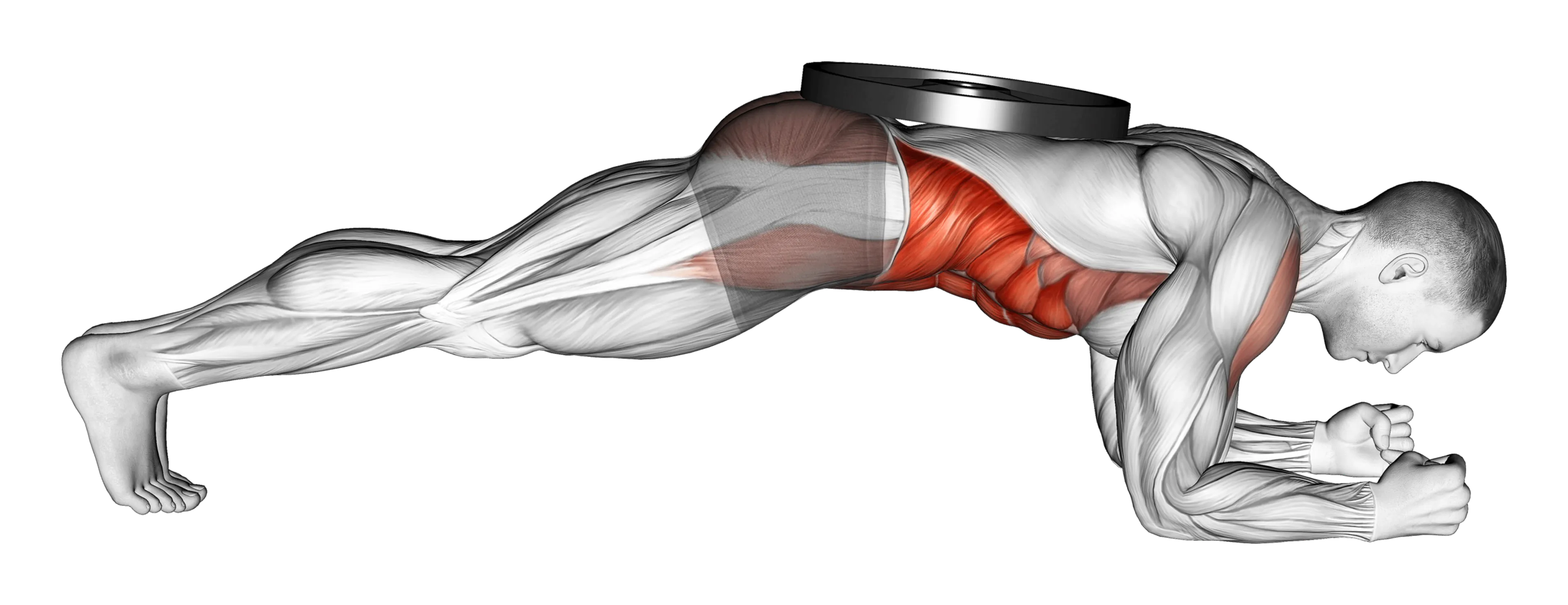 Weighted Plank
