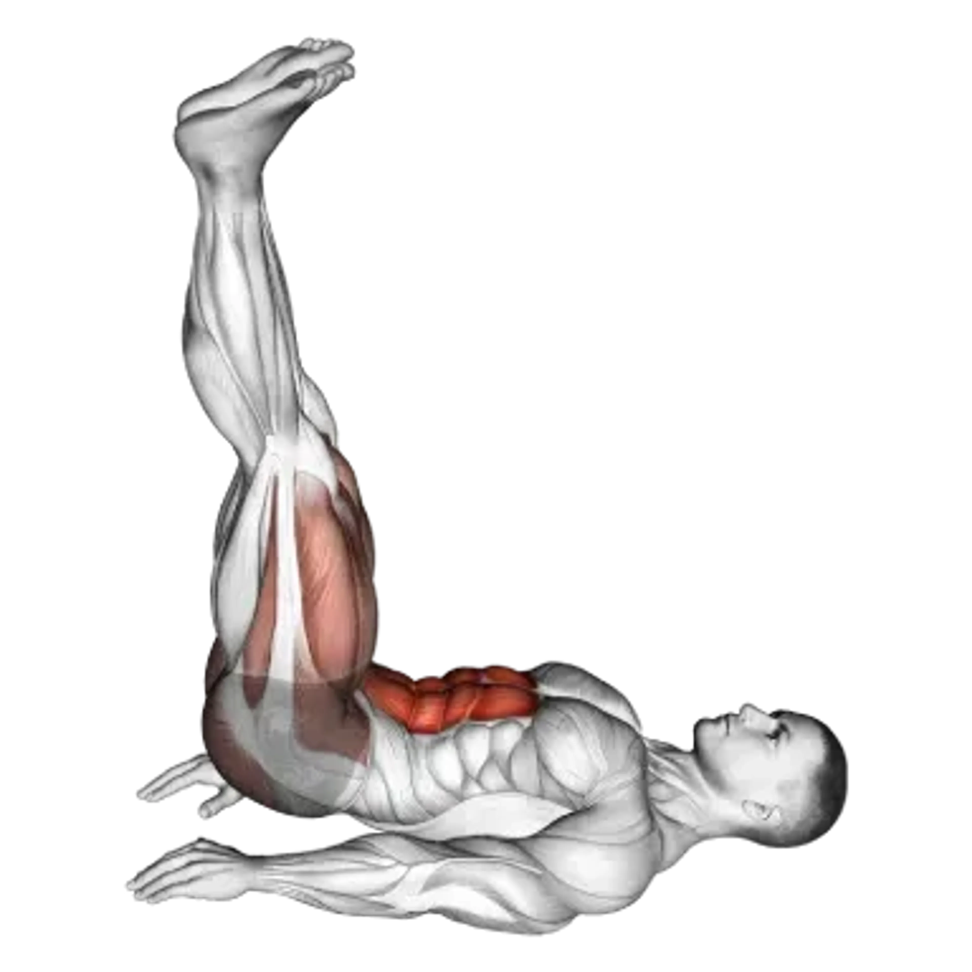 Lying Leg Raise
