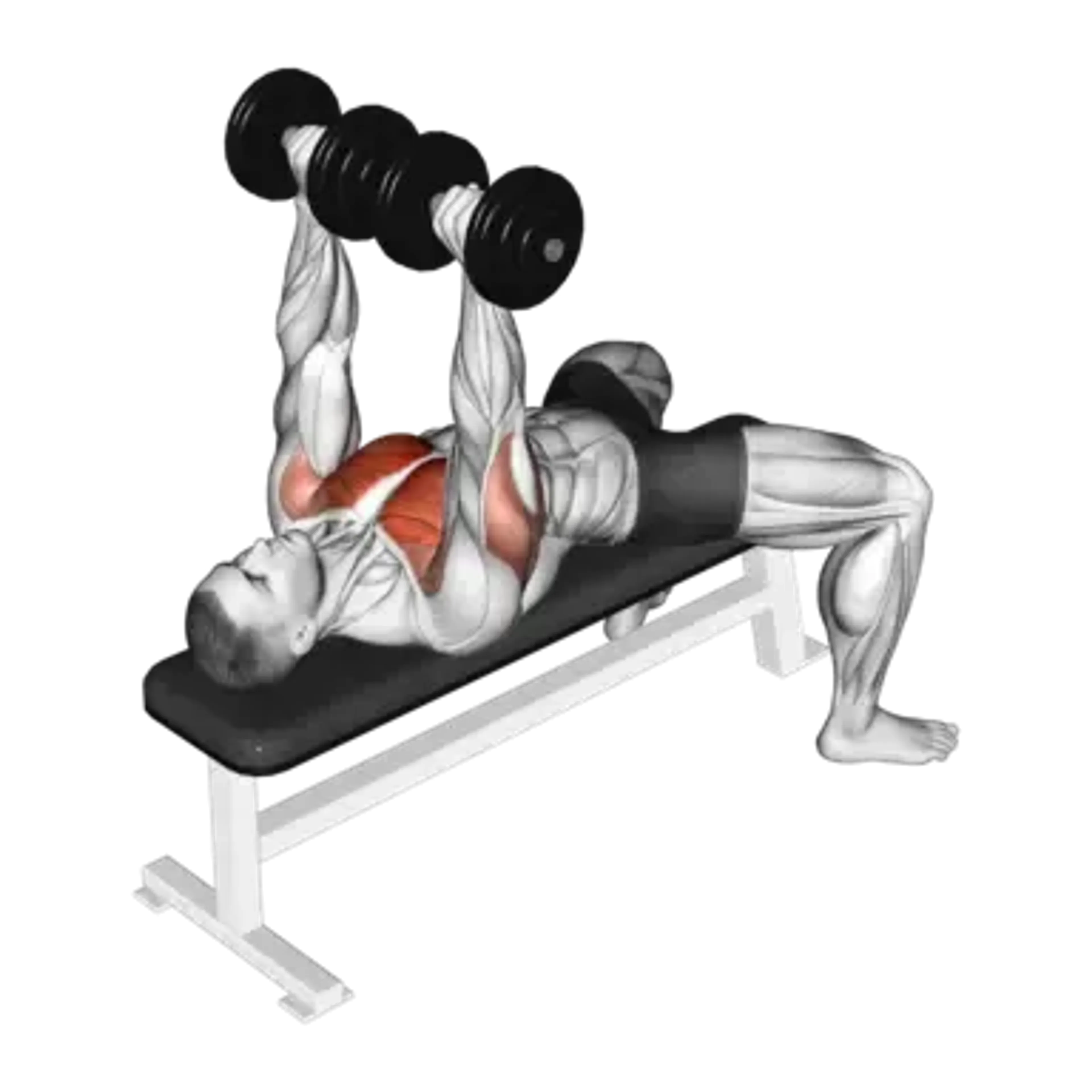 Dumbbell Bench Press