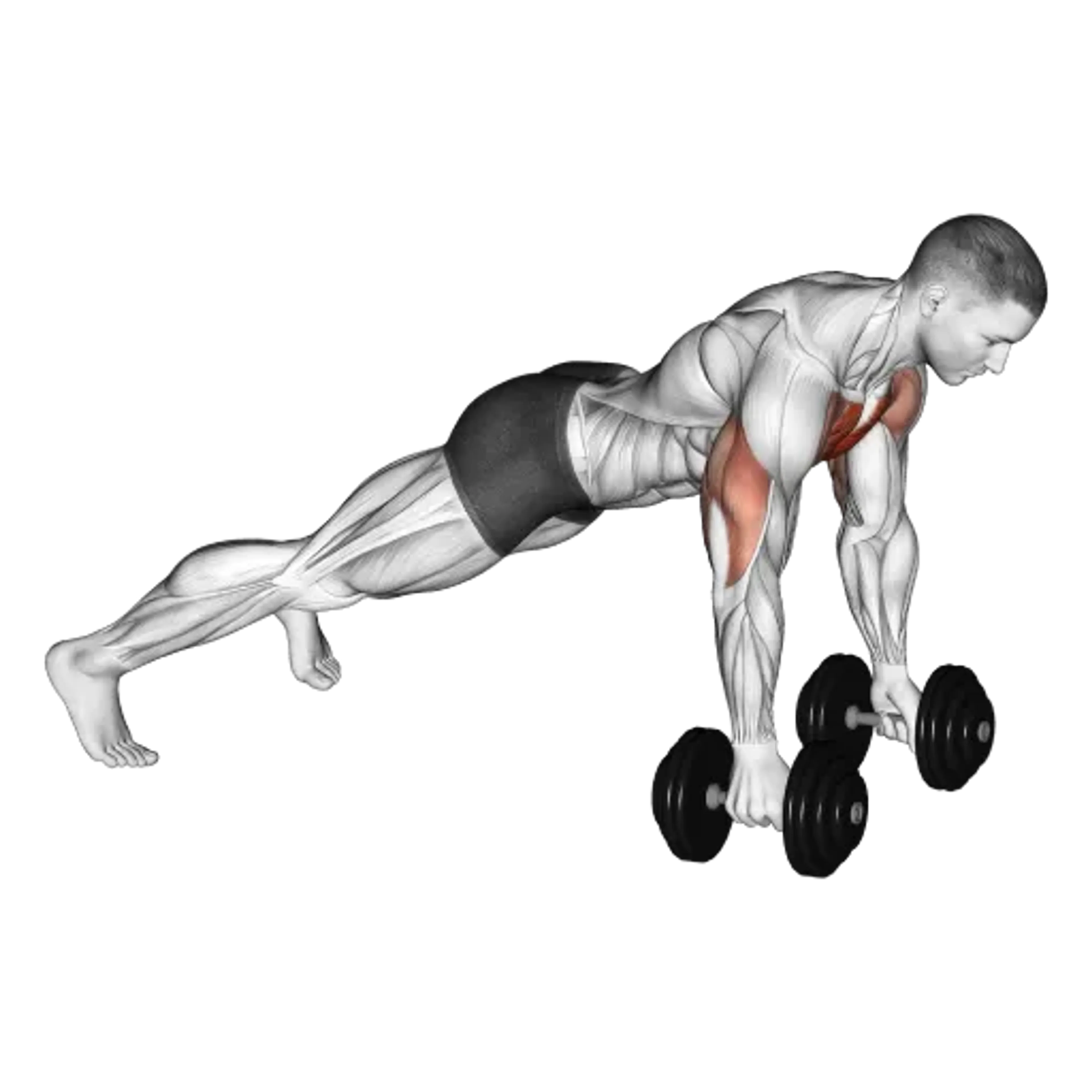 Dumbbell Push-Up