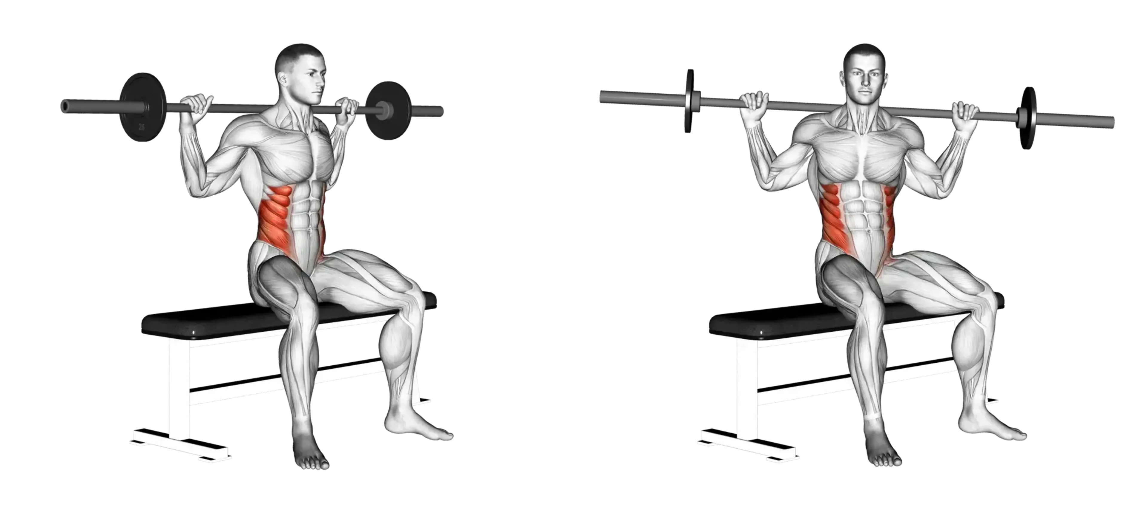 Barbell Seated Twist
